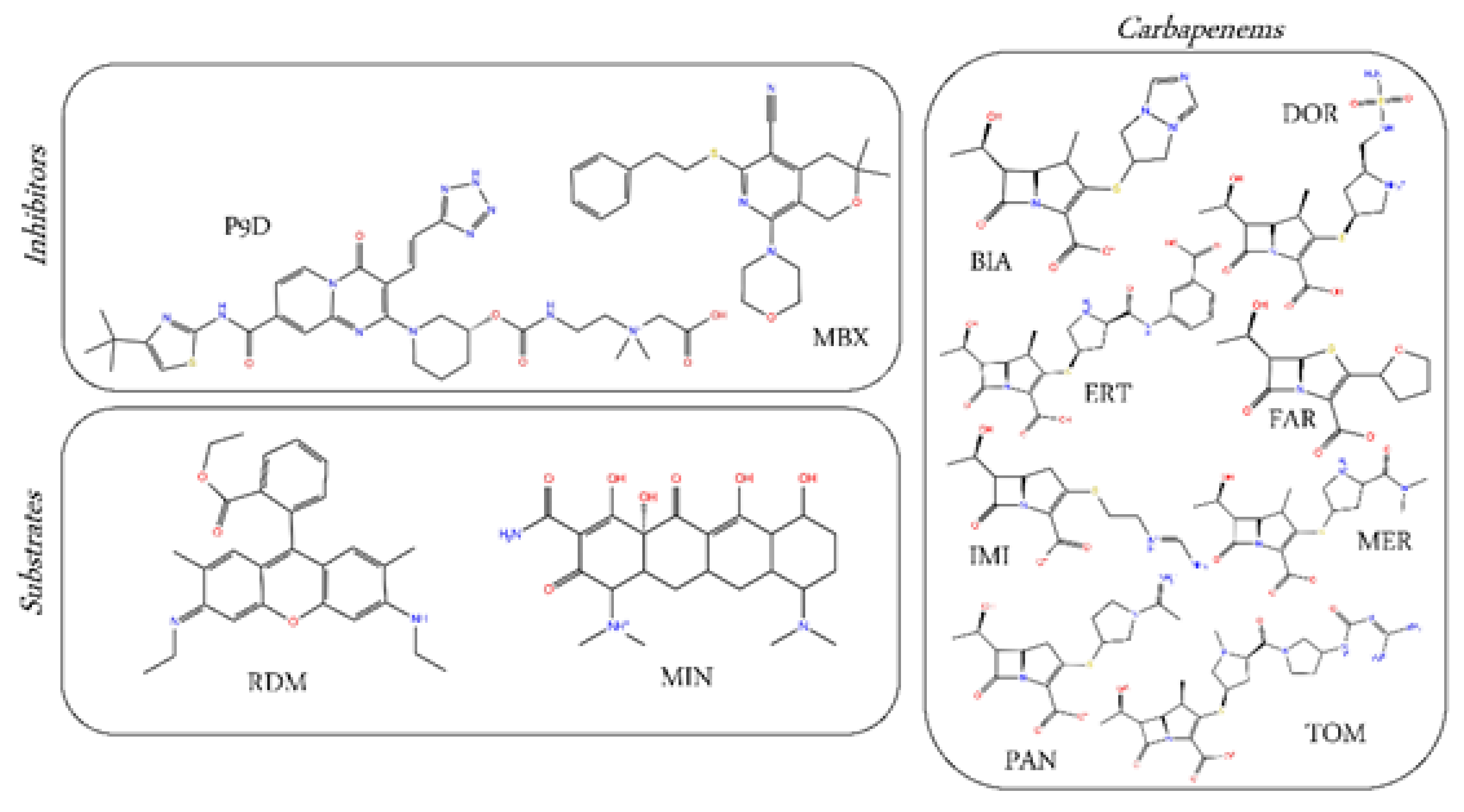 Ijms 21 00860 g002 Ijms 21 00860 g002