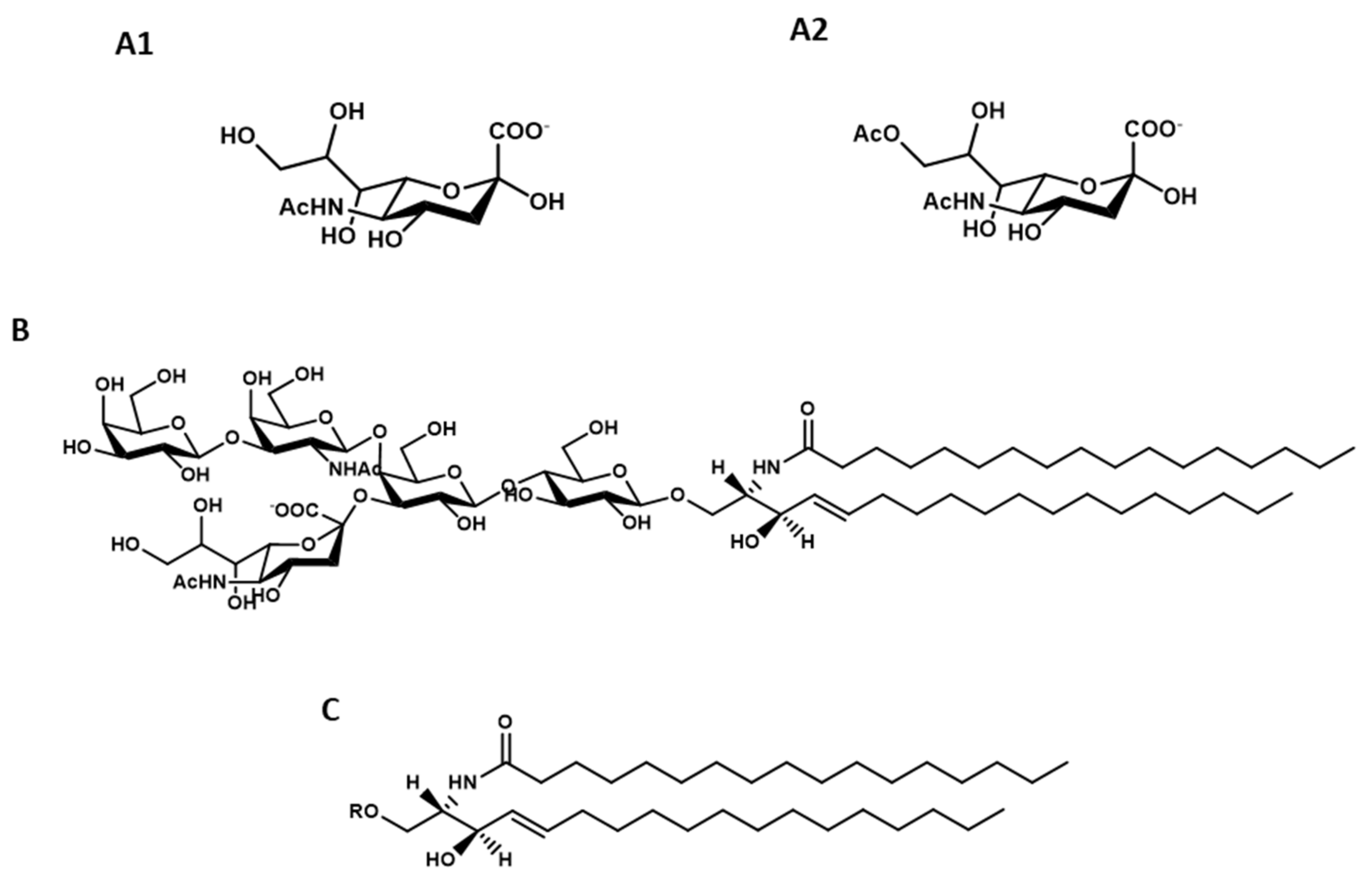 Ijms Free Full Text Gm1 Ganglioside Is A Key Factor In Maintaining The Mammalian Neuronal Functions Avoiding Neurodegeneration Html Ijms Free Full Text Gm1 Ganglioside Is A Key Factor In Maintaining The Mammalian Neuronal Functions Avoiding Neurodegeneration Html