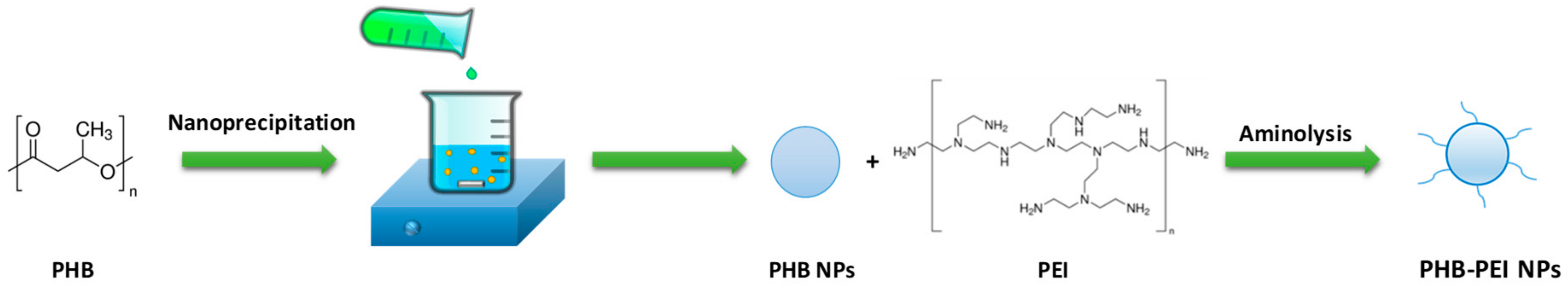 Ijms 21 00869 sch001