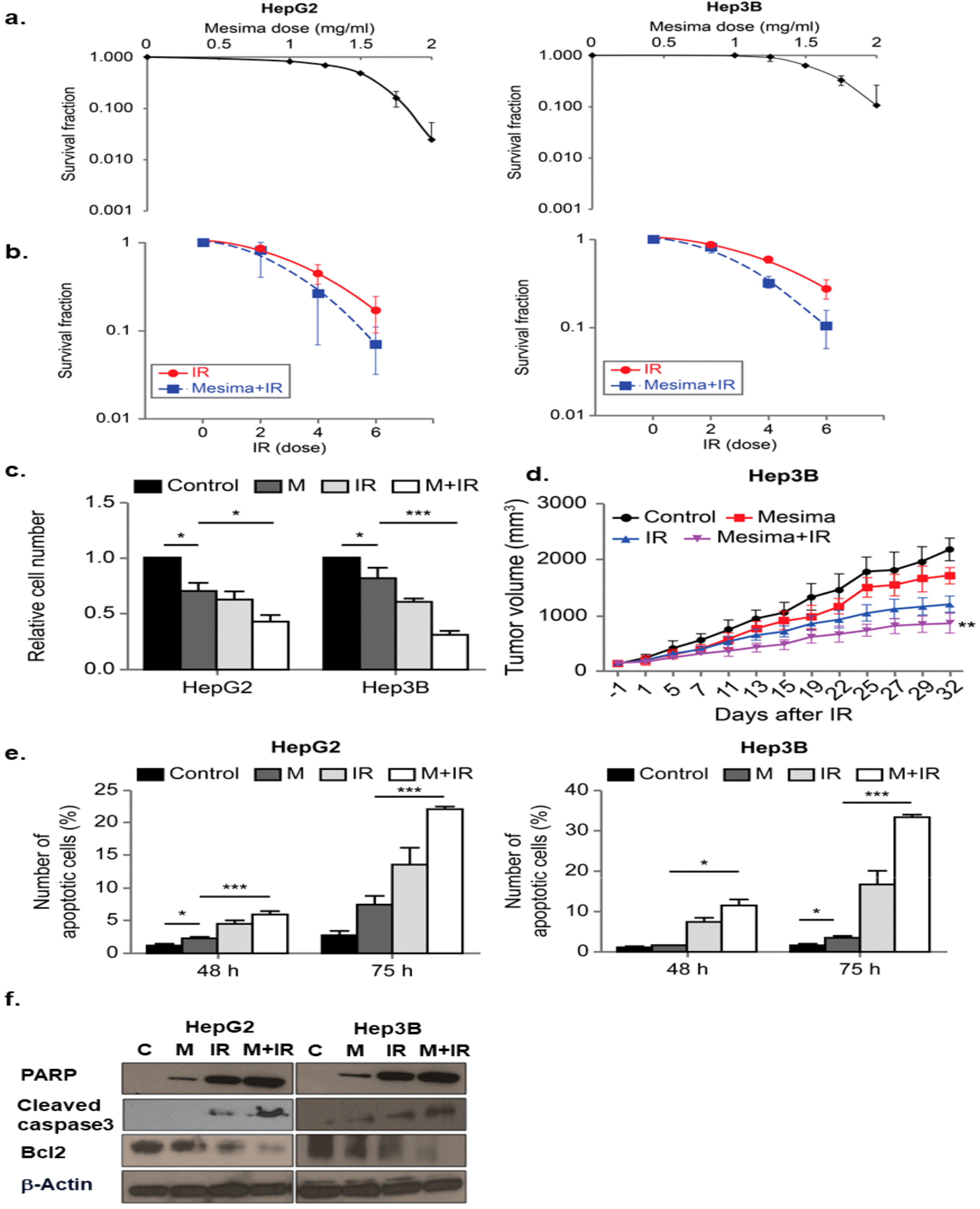 Ijms 21 00871 g001 Ijms 21 00871 g001
