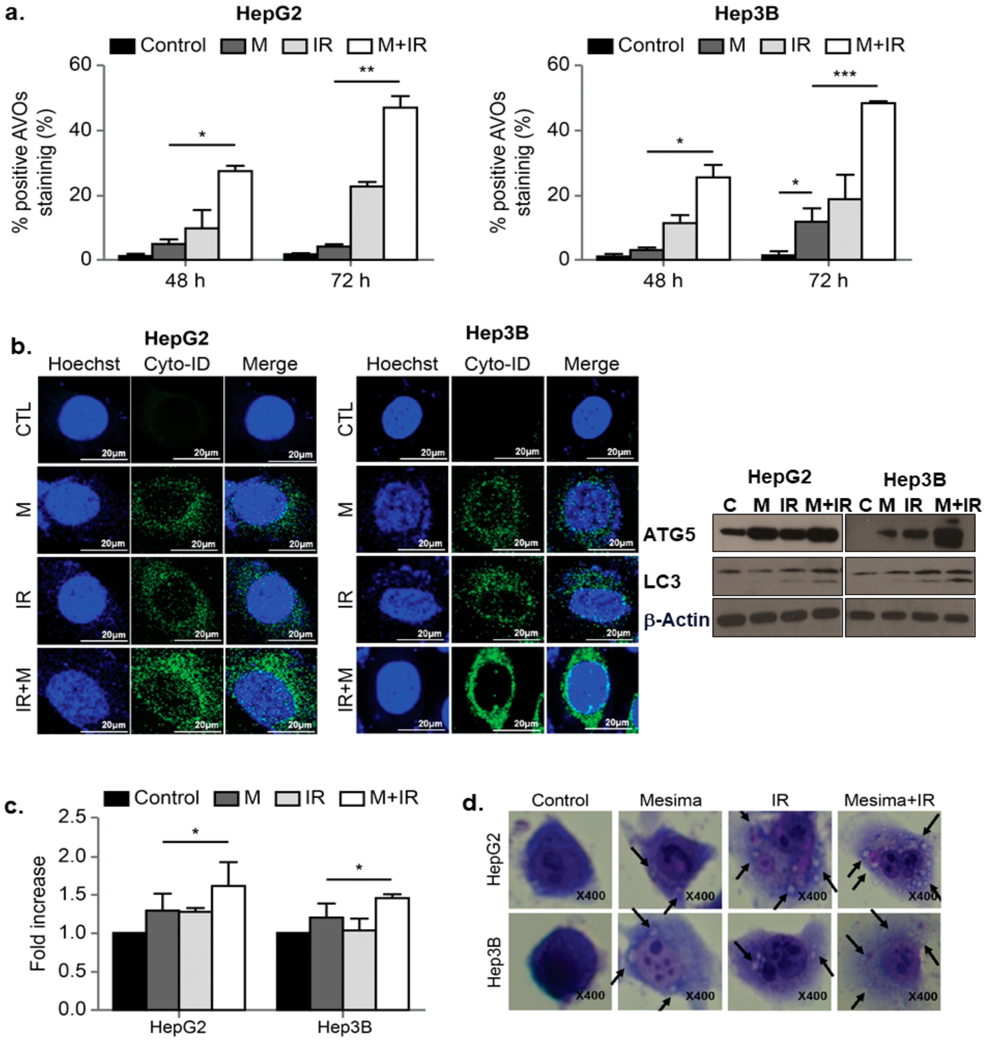 Ijms 21 00871 g003 Ijms 21 00871 g003