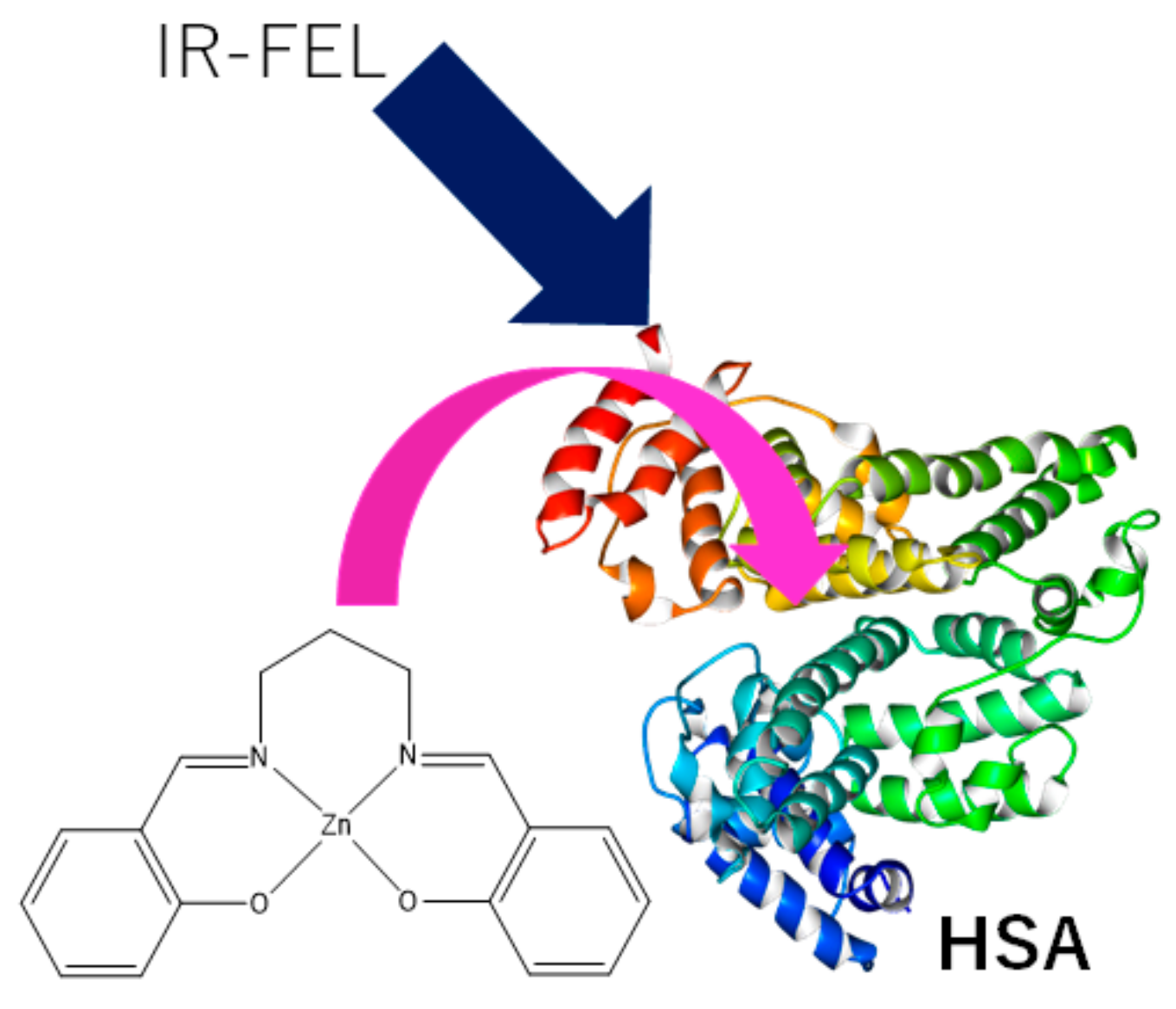 Ijms 21 00874 sch001