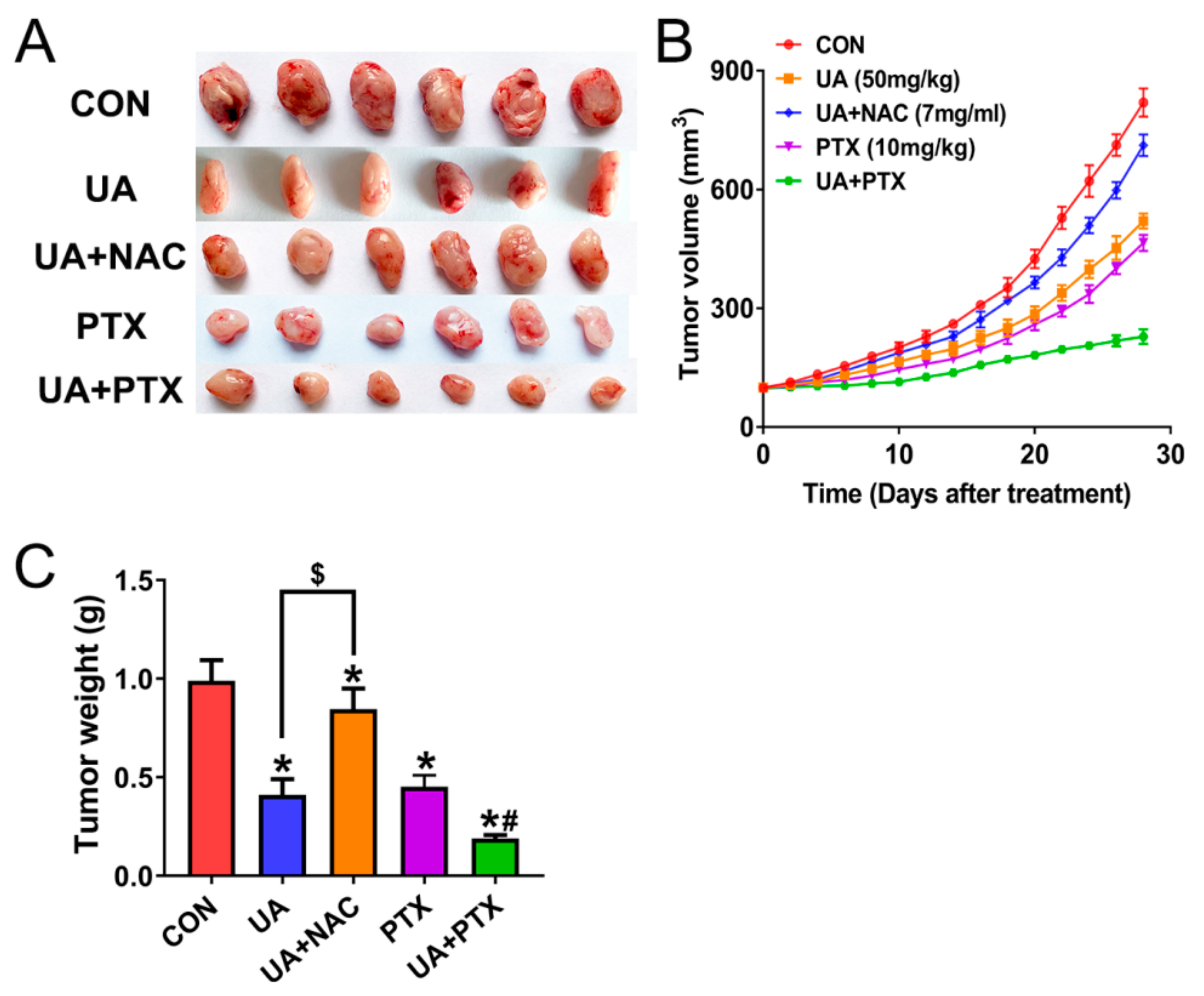 Ijms 21 00876 g008 Ijms 21 00876 g008