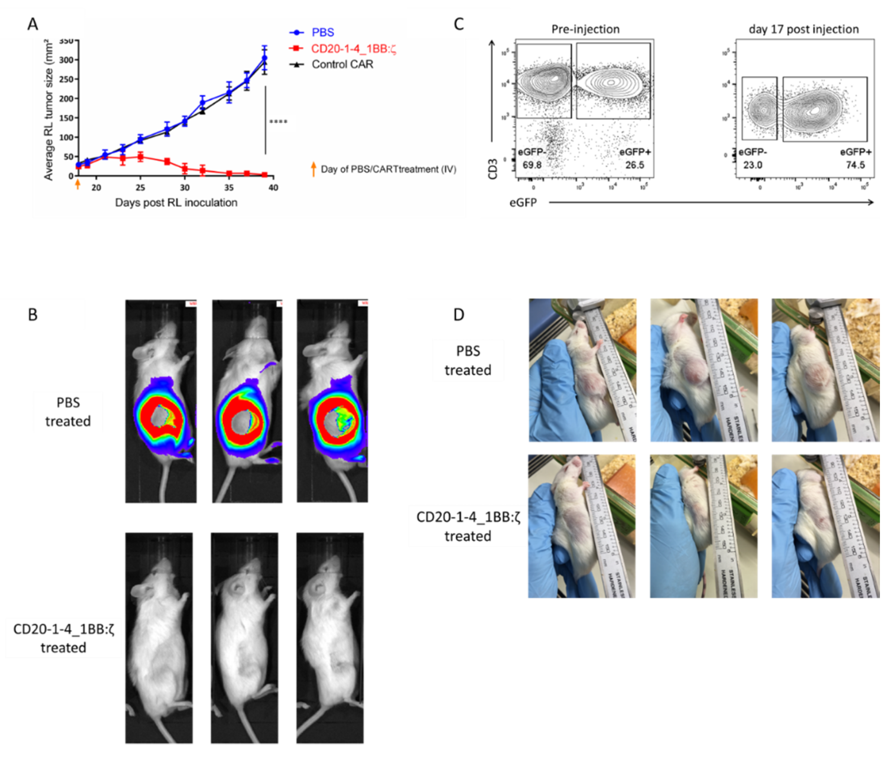 Ijms 21 00883 g006 Ijms 21 00883 g006