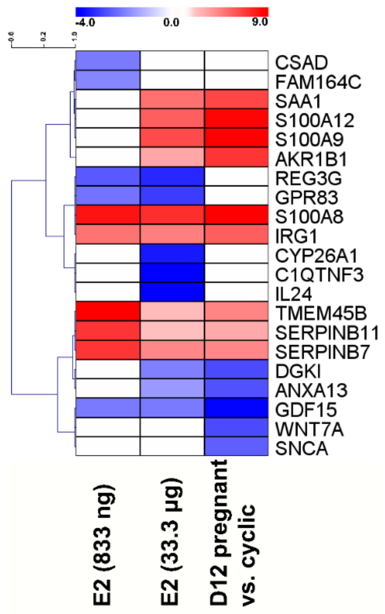 Ijms 21 00890 g001 Ijms 21 00890 g001