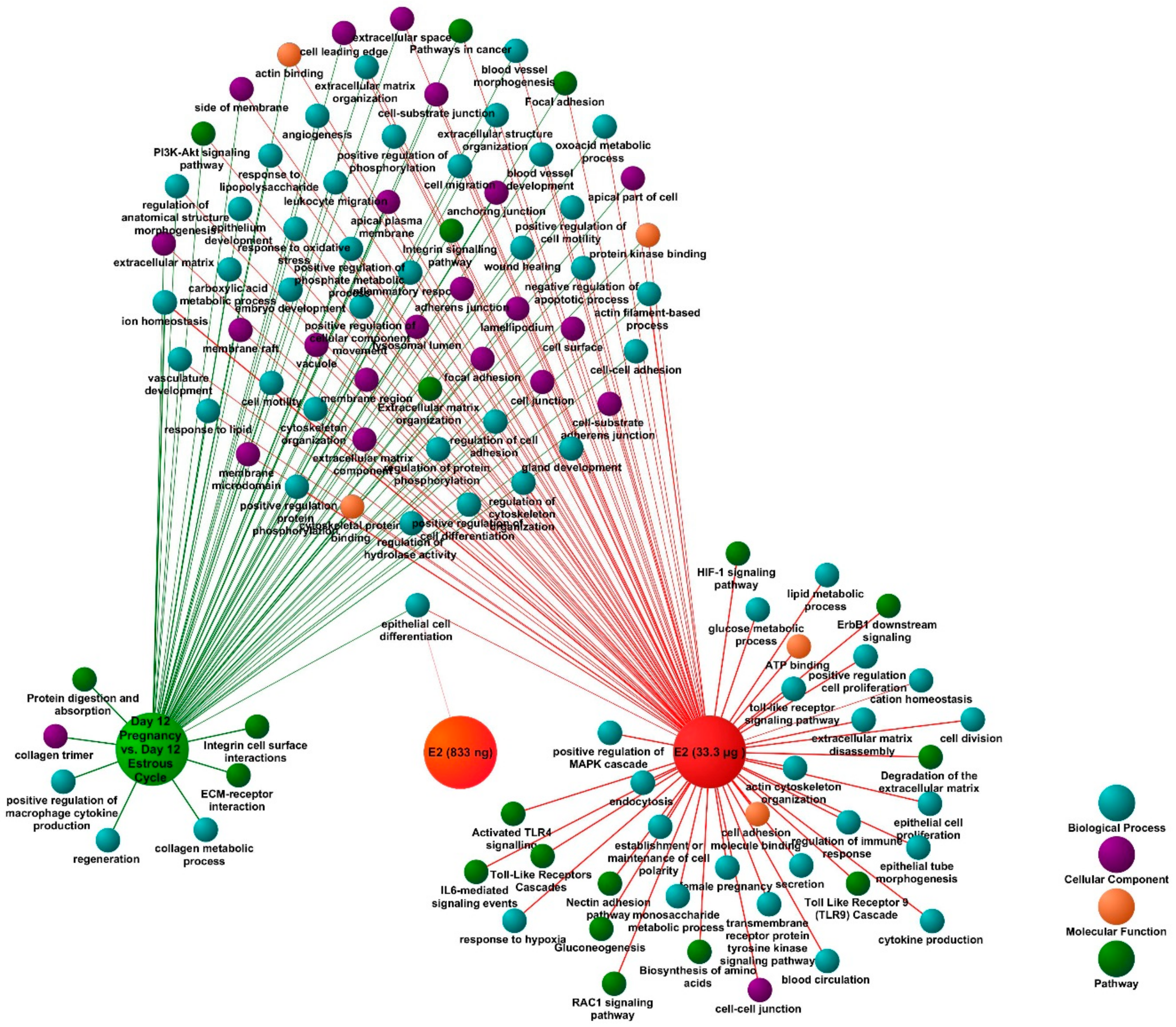 Ijms 21 00890 g004 Ijms 21 00890 g004