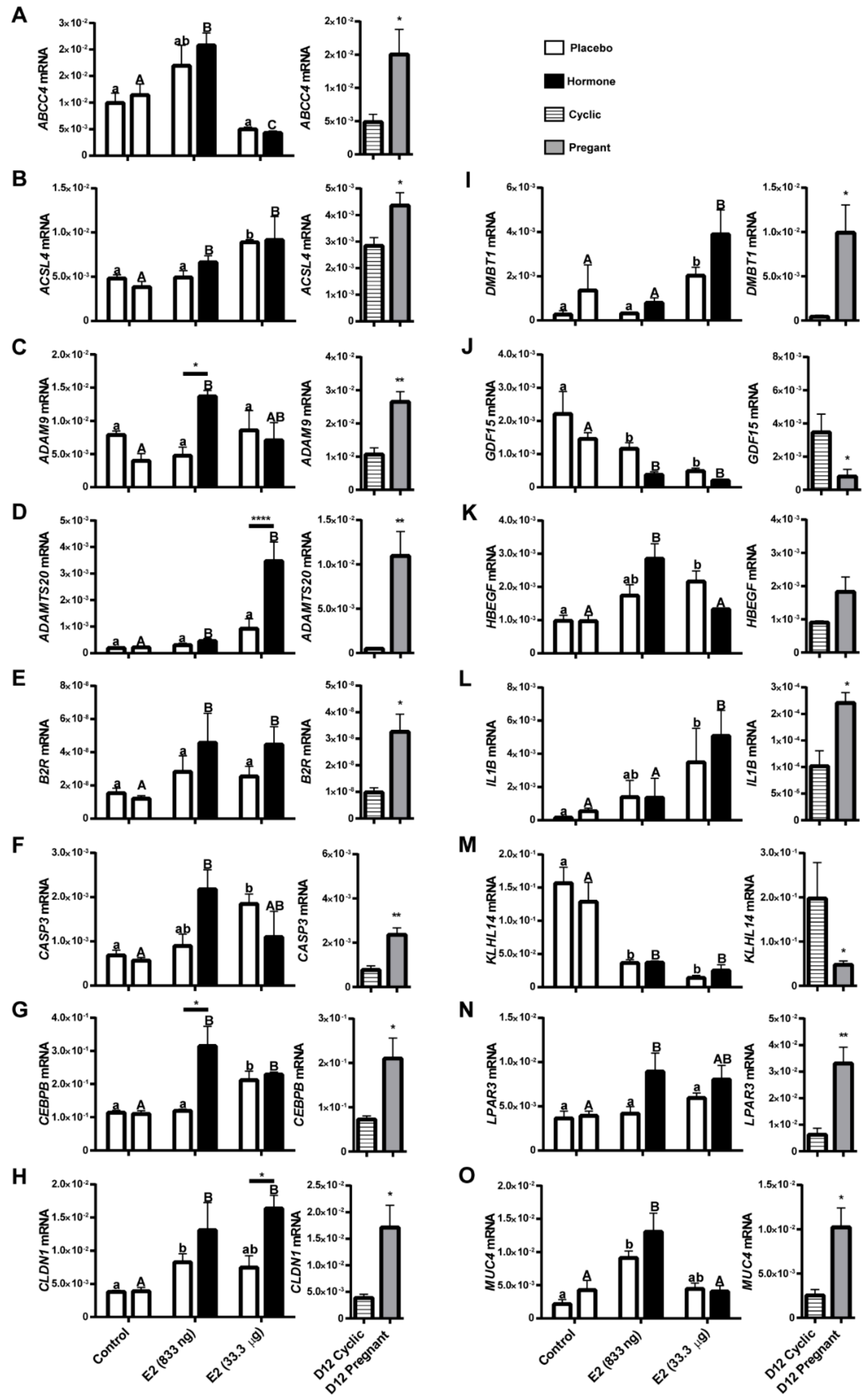 Ijms 21 00890 g006a Ijms 21 00890 g006a