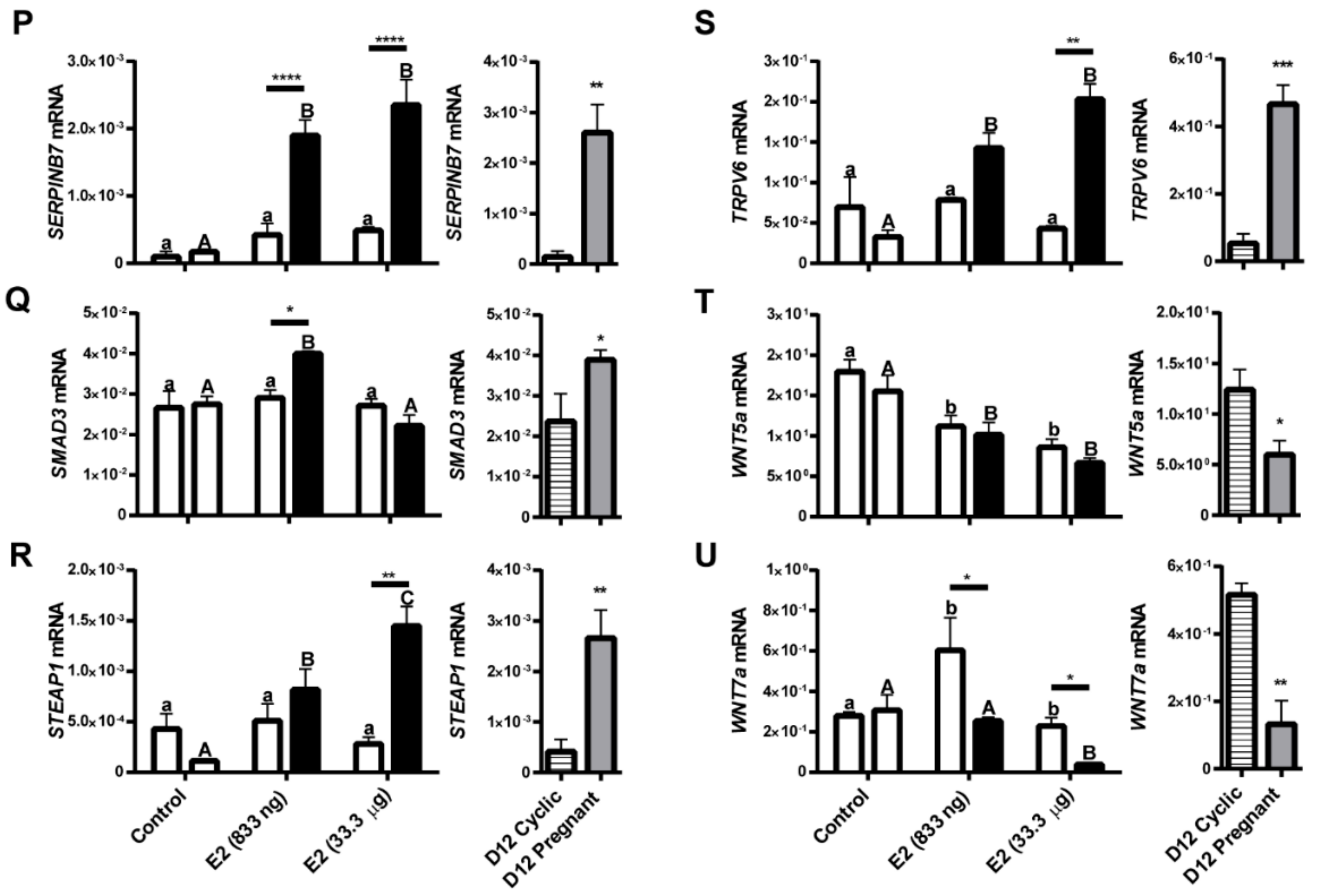 Ijms 21 00890 g006b Ijms 21 00890 g006b