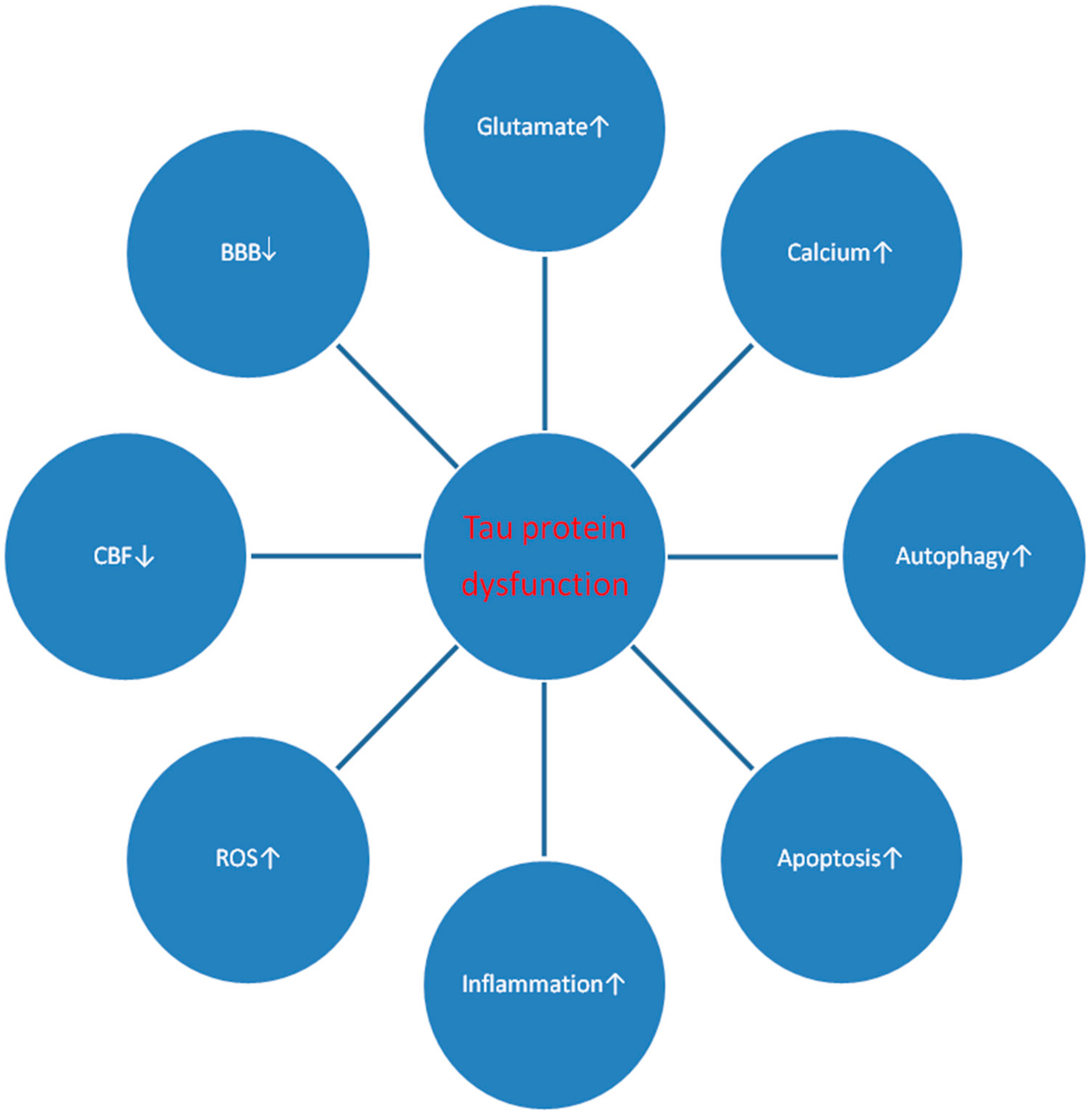 Ijms 21 00892 g002 Ijms 21 00892 g002