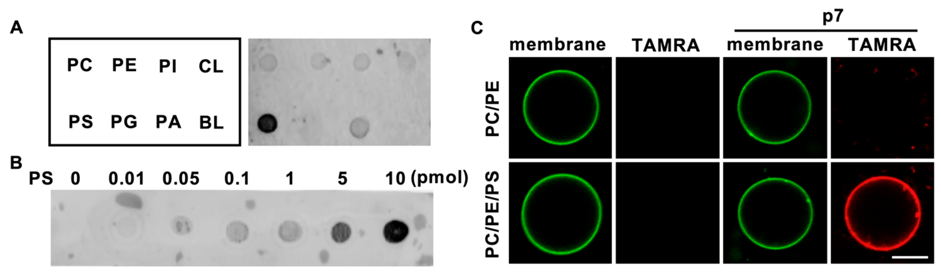 Ijms 21 00897 g001