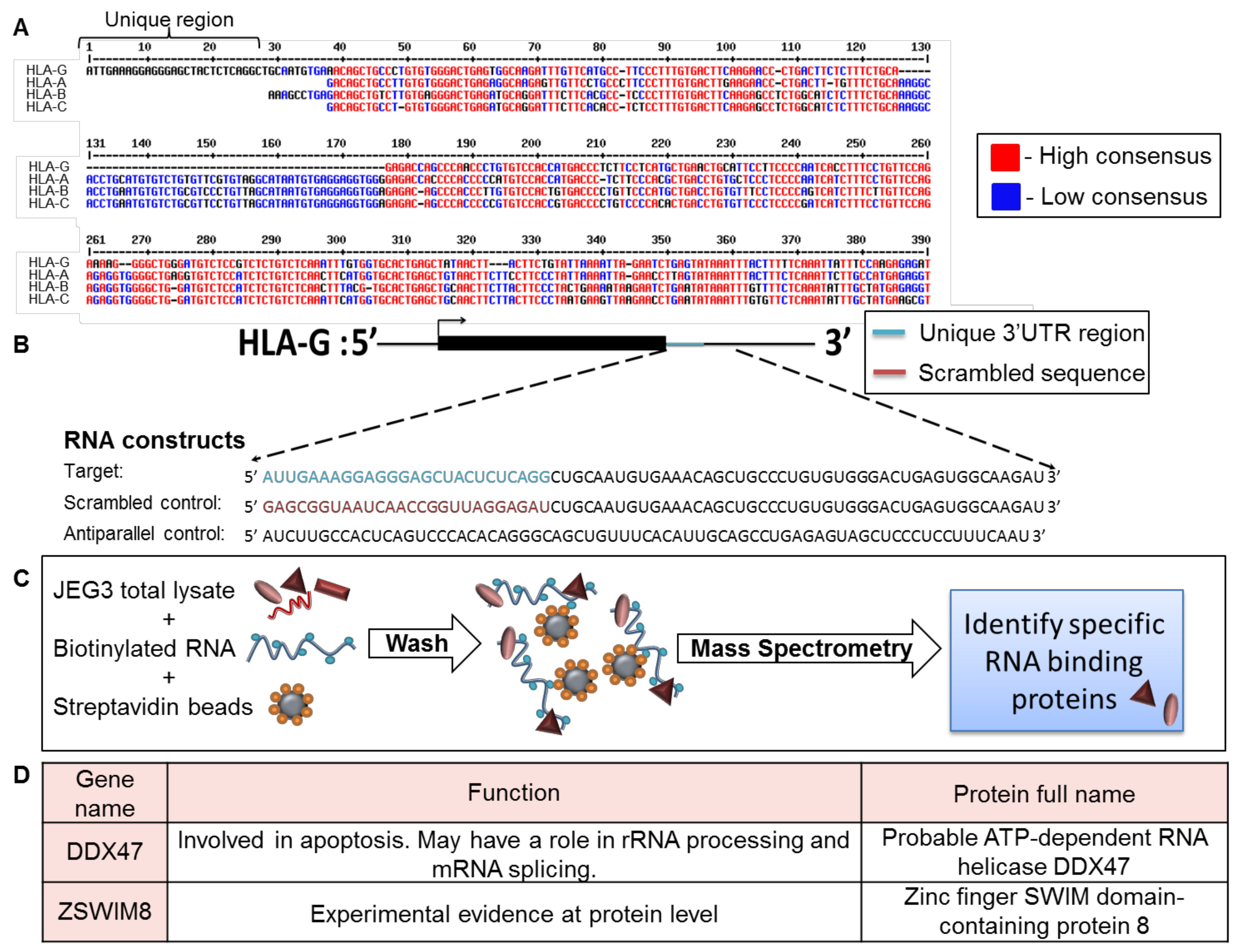 Ijms 21 00900 g001 Ijms 21 00900 g001