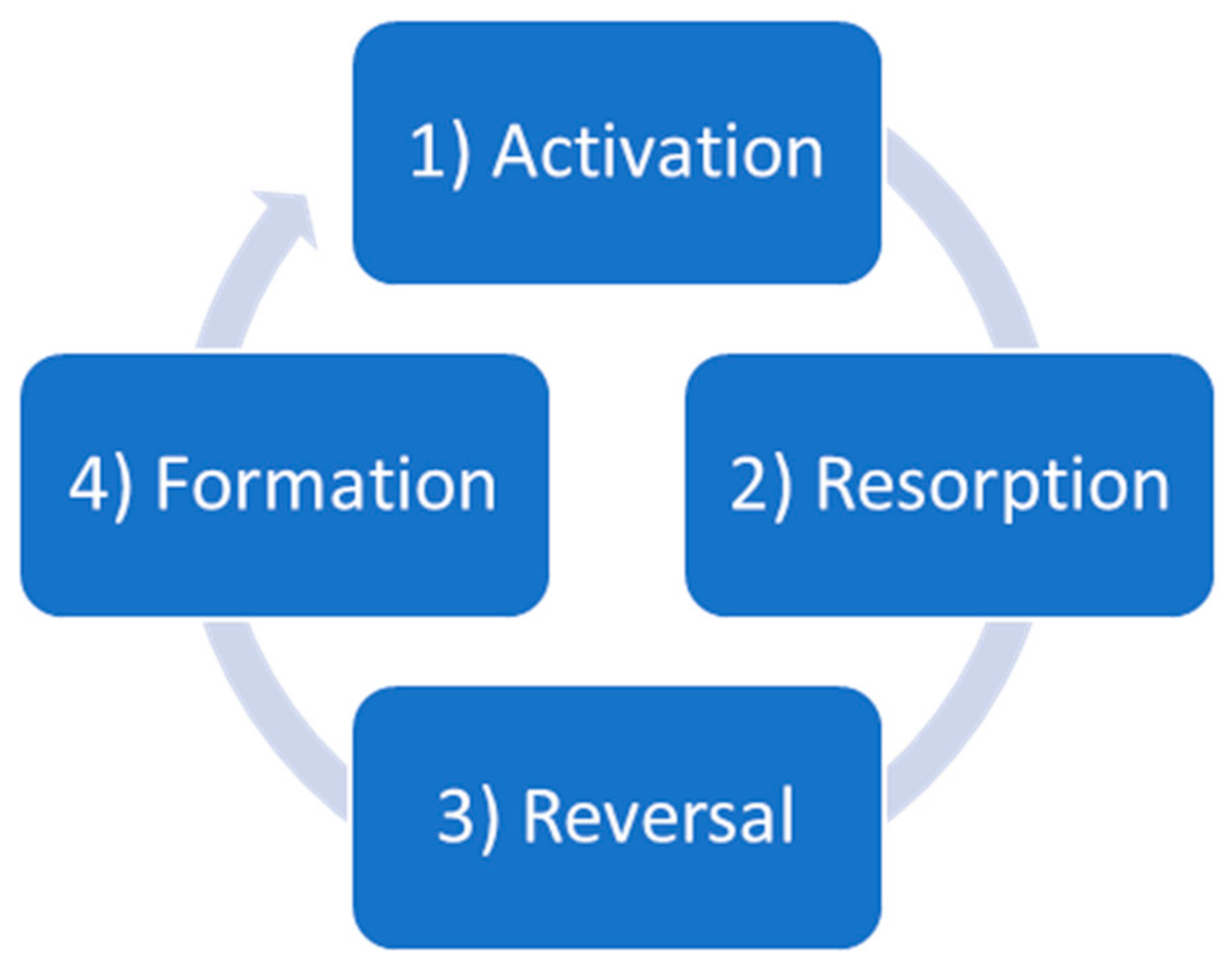 Ijms 21 00912 g001 Ijms 21 00912 g001