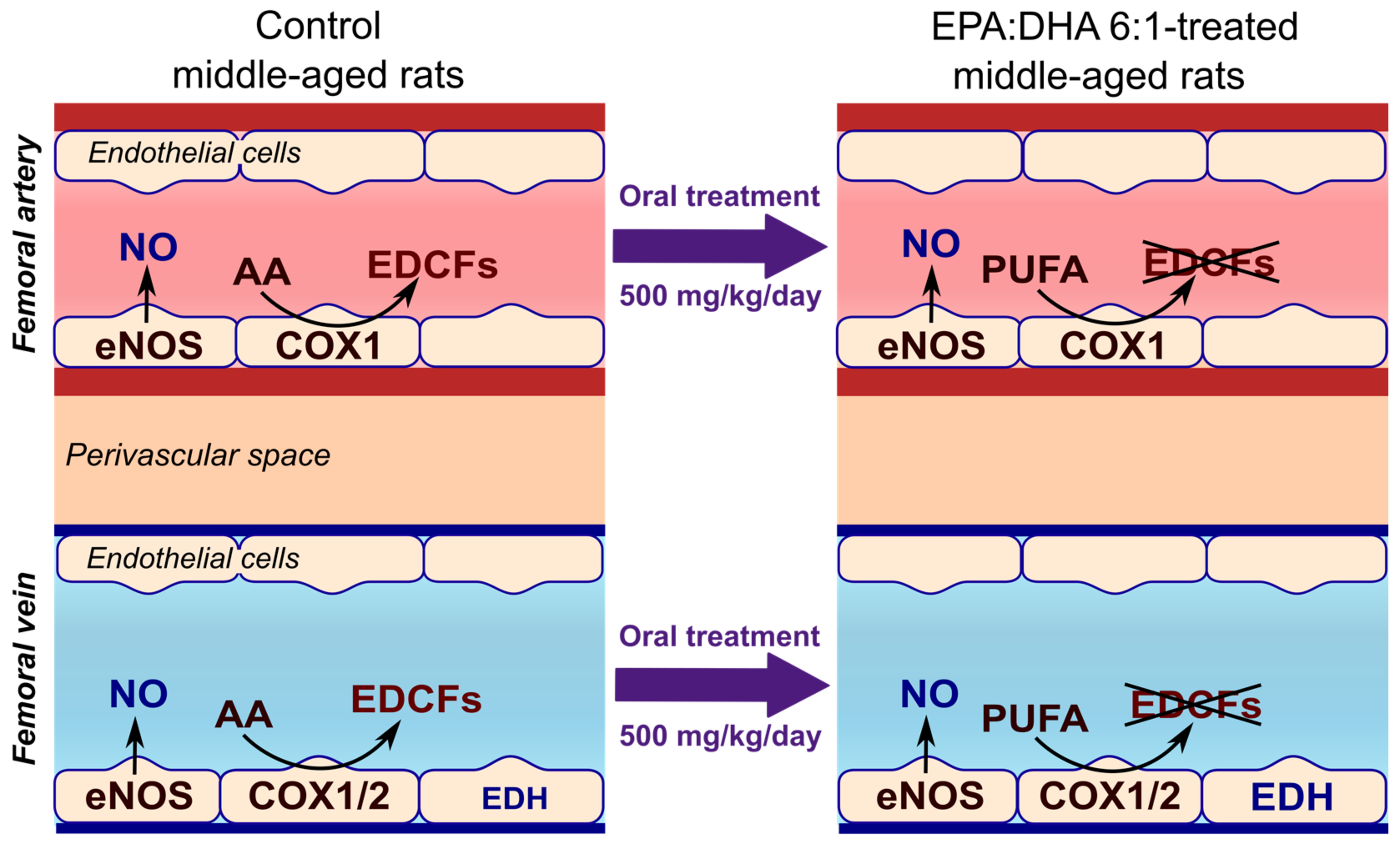 Ijms 21 00920 g005 Ijms 21 00920 g005
