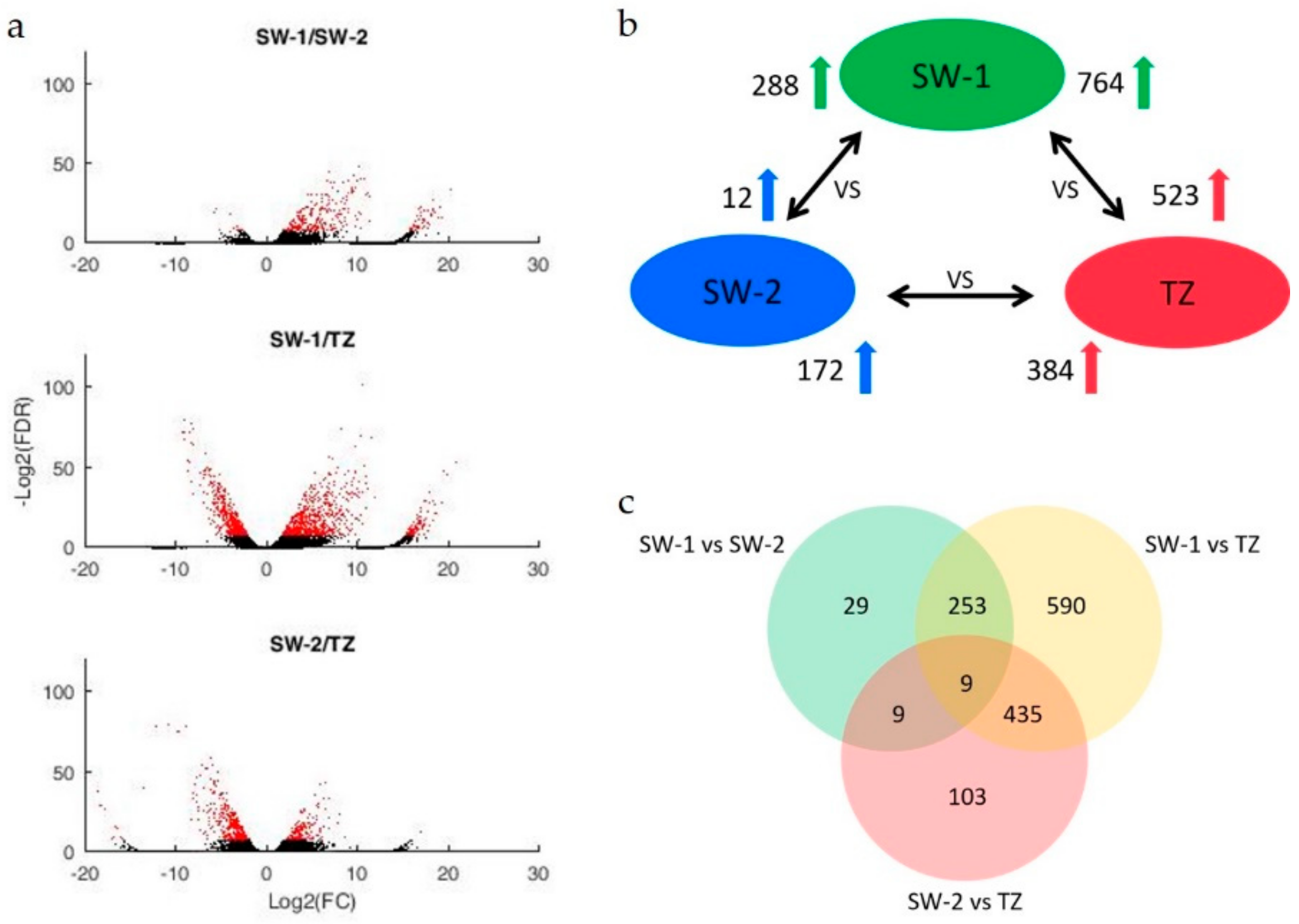 Ijms 21 00960 g003 Ijms 21 00960 g003