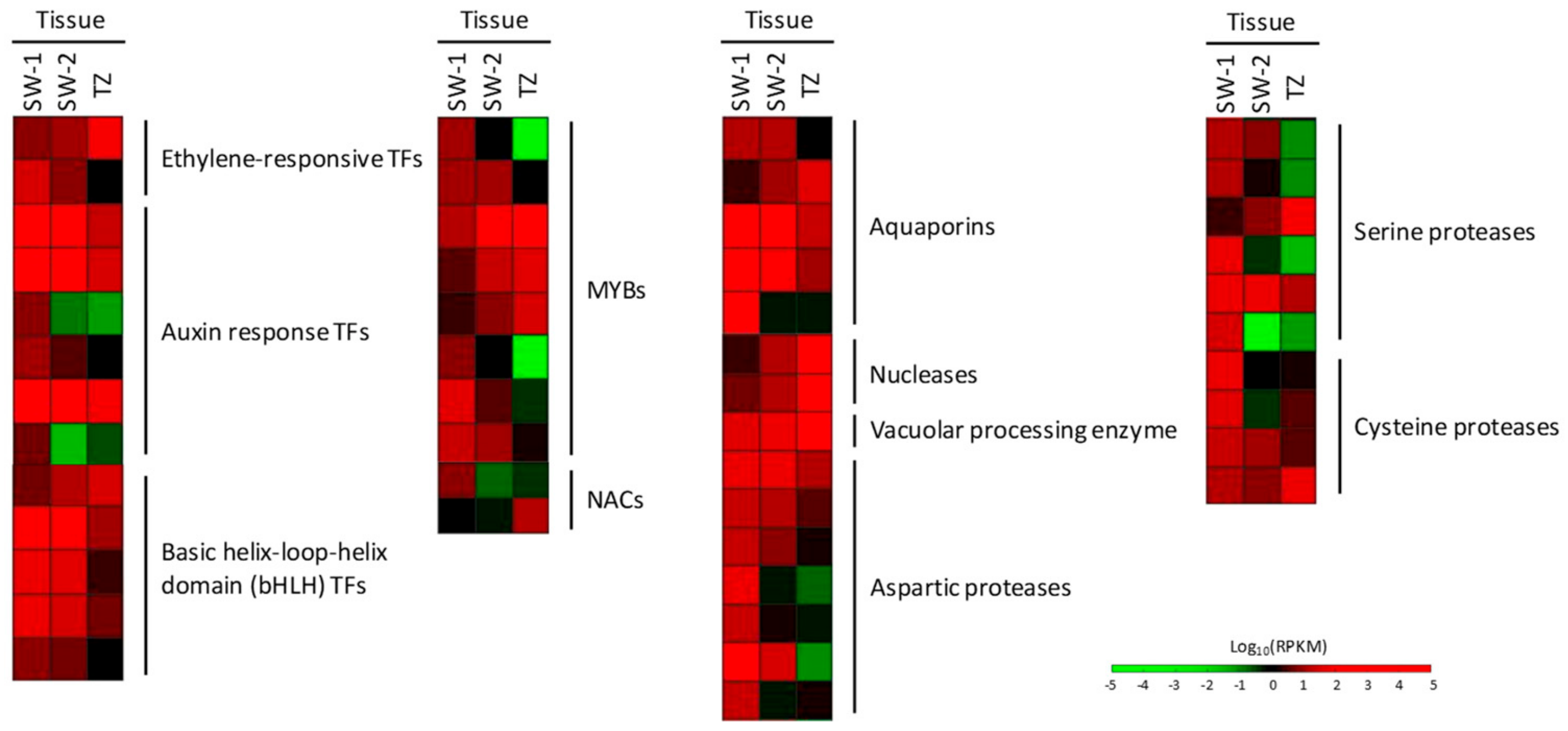 Ijms 21 00960 g009 Ijms 21 00960 g009