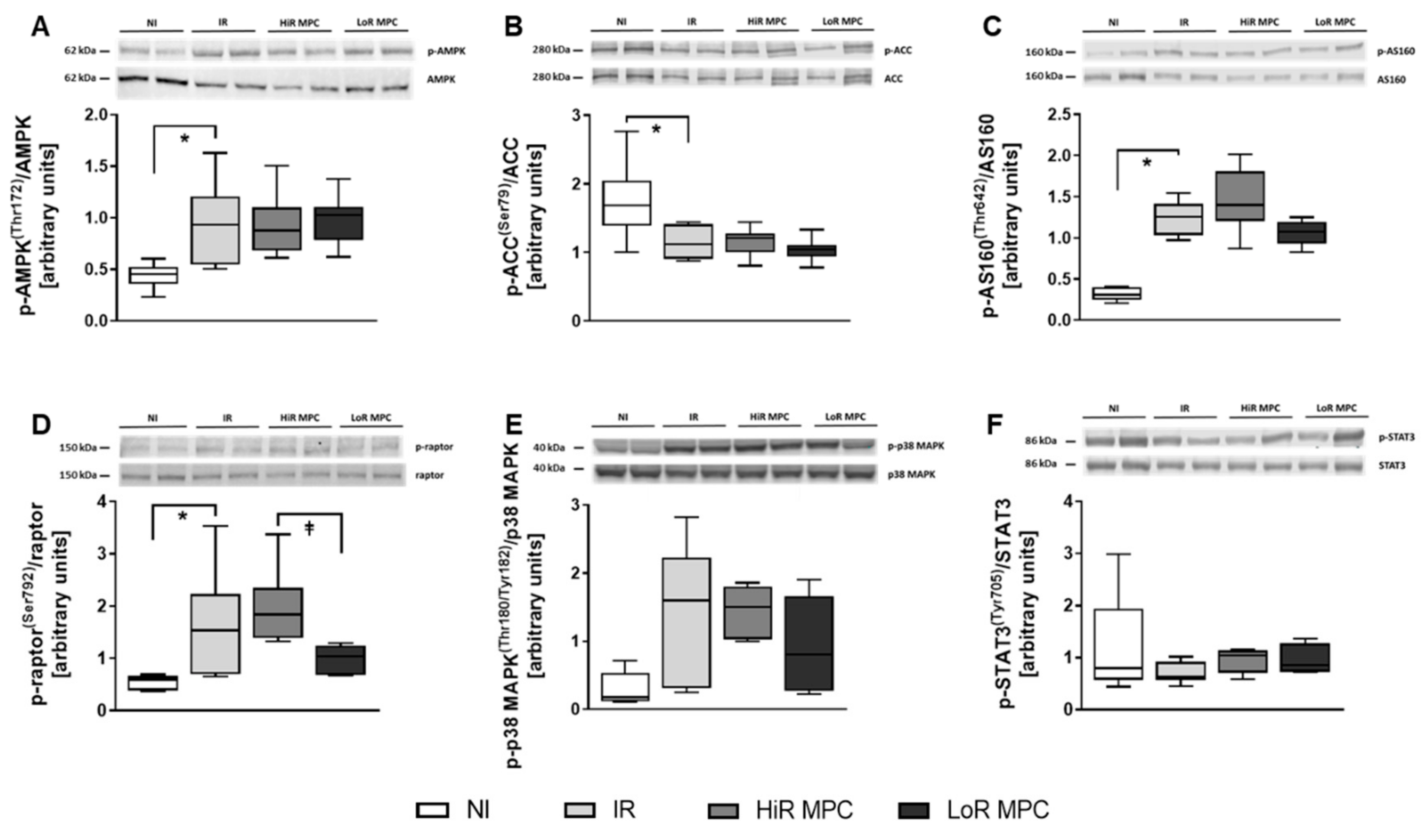 Ijms 21 00964 g004 Ijms 21 00964 g004