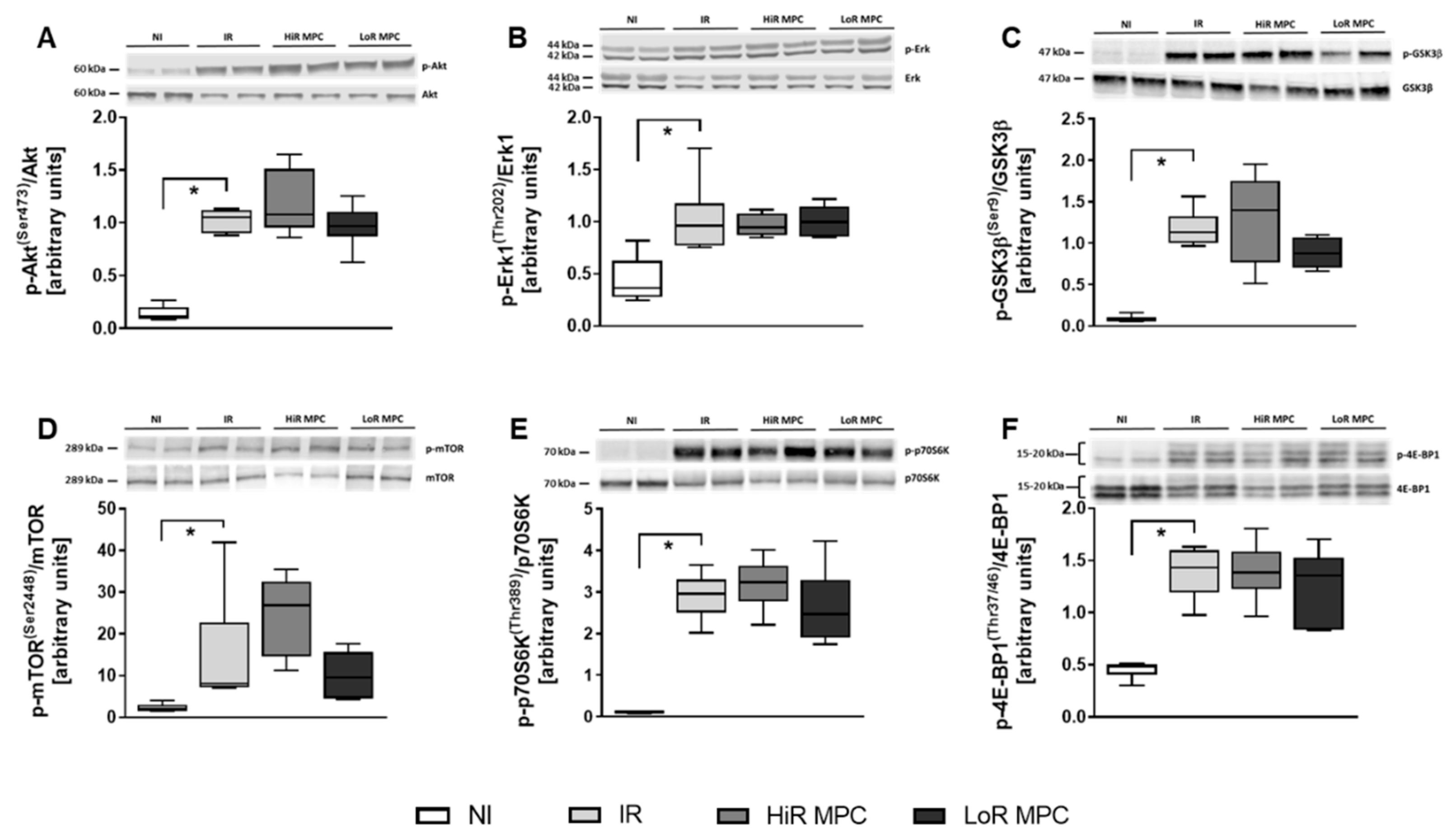 Ijms 21 00964 g005 Ijms 21 00964 g005