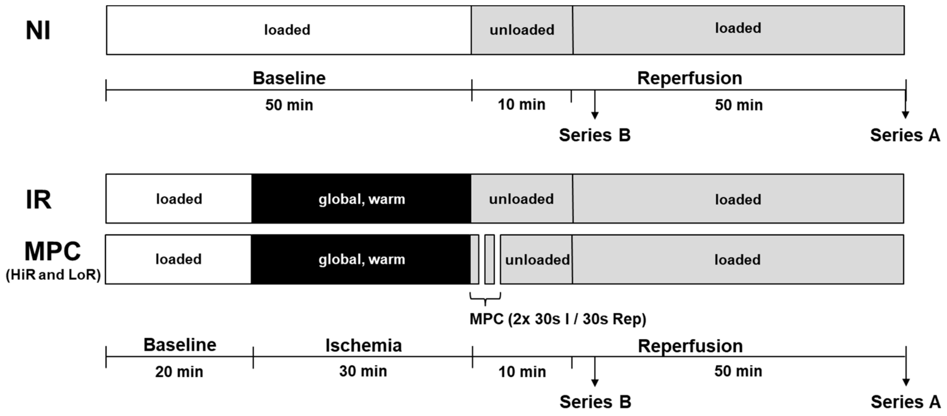 Ijms 21 00964 g008 Ijms 21 00964 g008