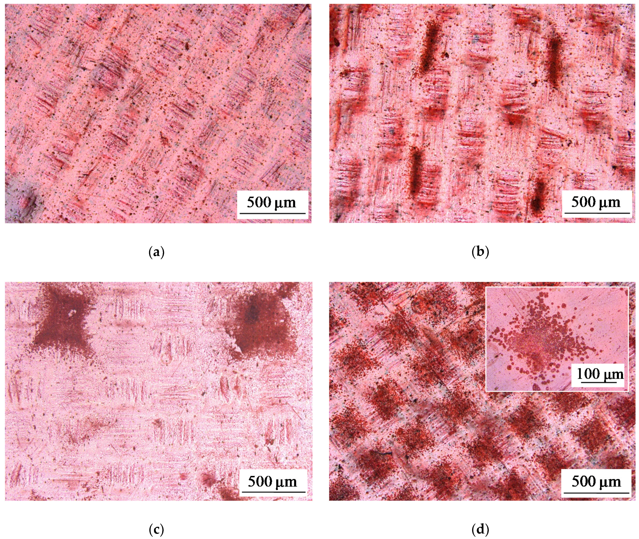 Ijms 21 00973 g001 Ijms 21 00973 g001