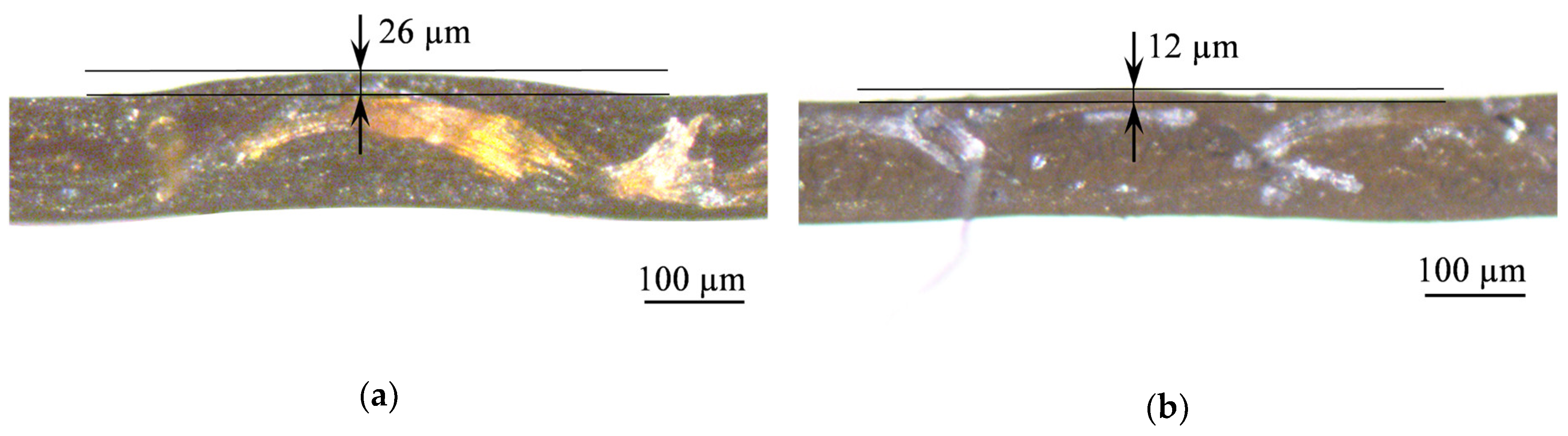 Ijms 21 00973 g004 Ijms 21 00973 g004