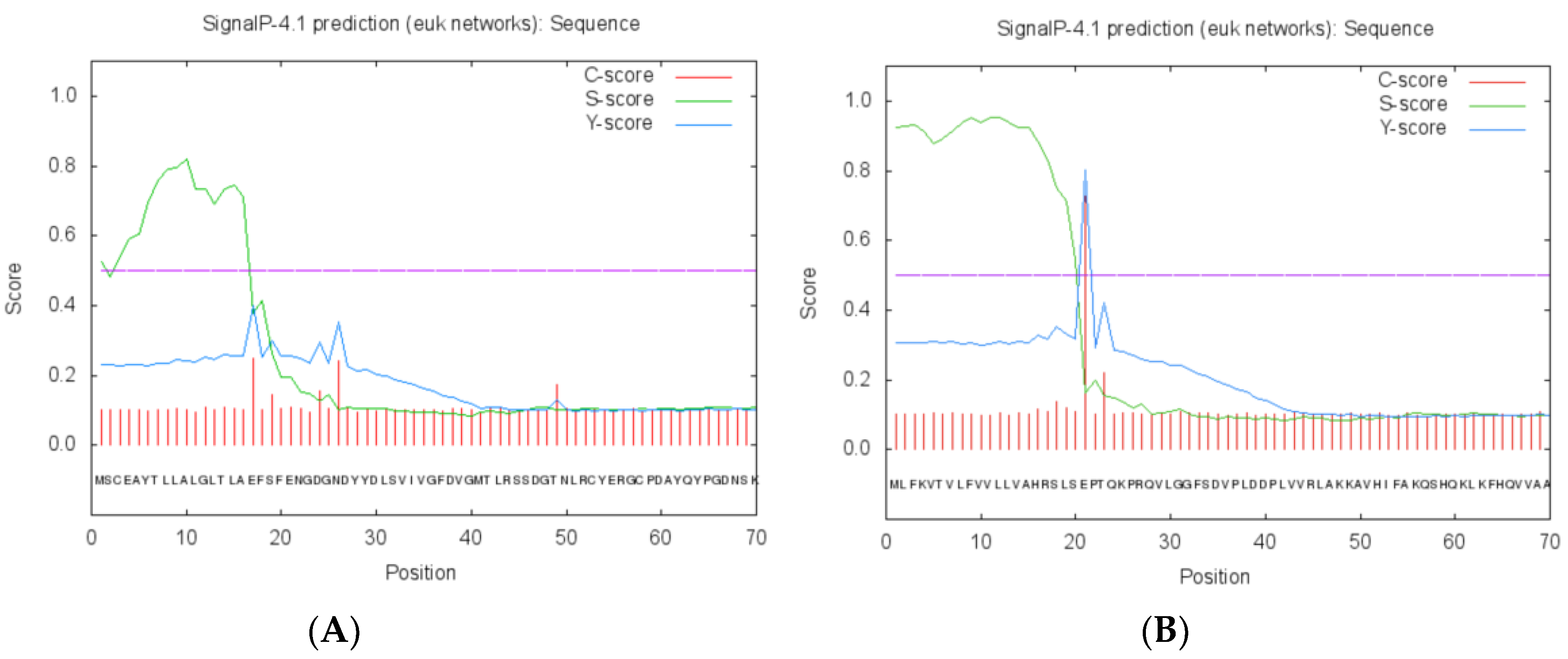 Ijms 21 00982 g004 Ijms 21 00982 g004