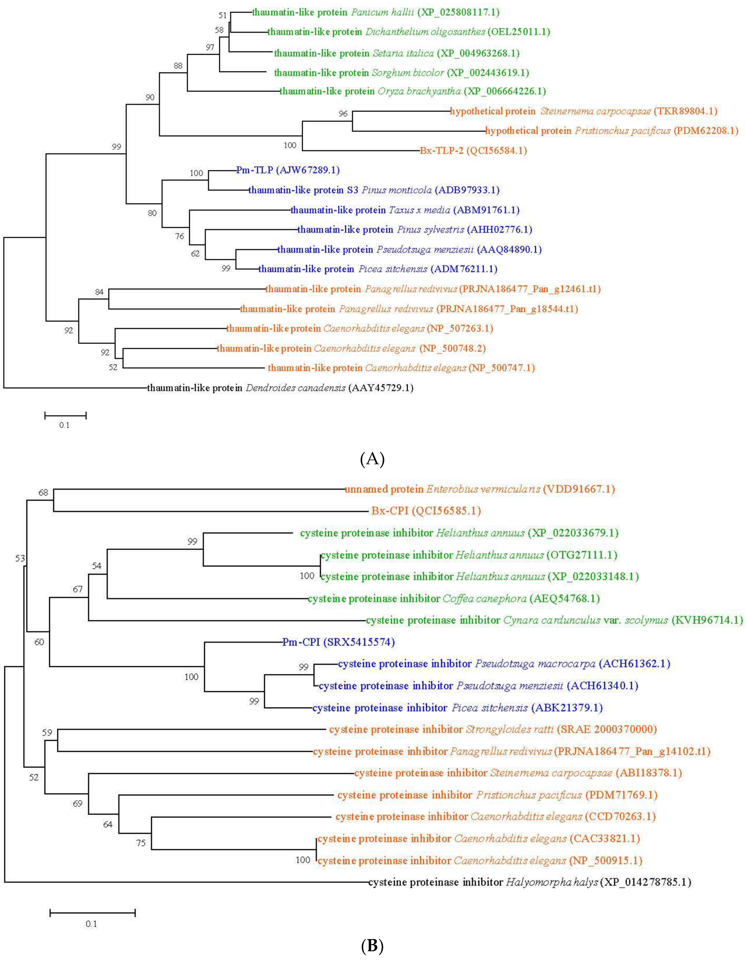 Ijms 21 00982 g005 Ijms 21 00982 g005