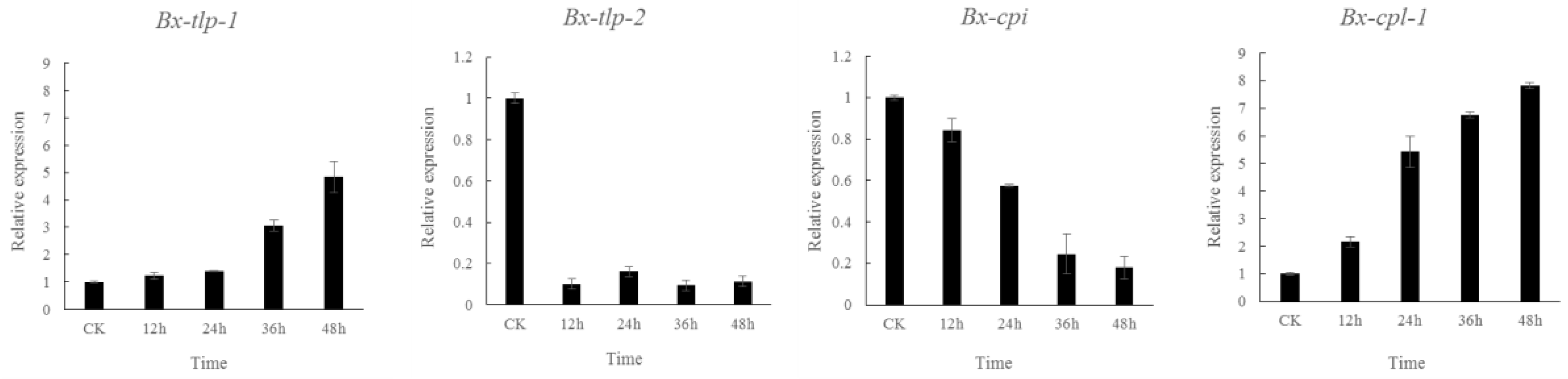 Ijms 21 00982 g006 Ijms 21 00982 g006