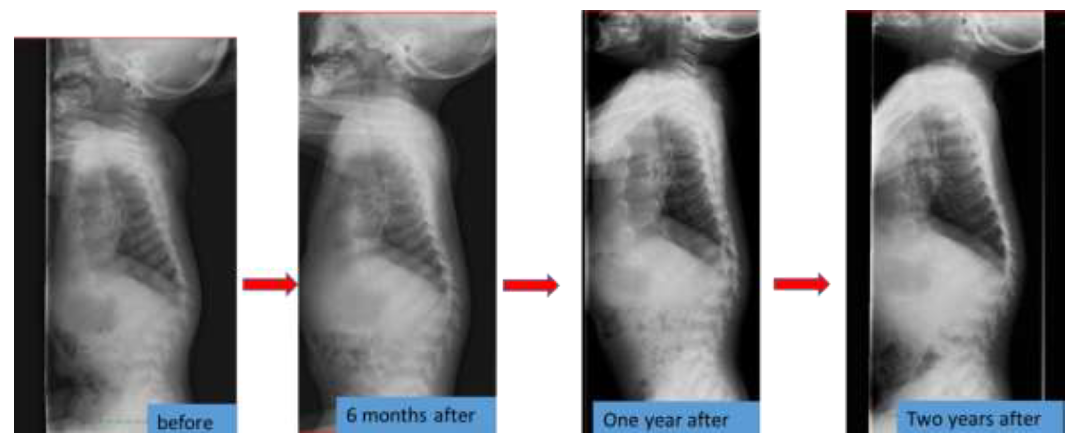 Ijms 21 00989 g002 Ijms 21 00989 g002