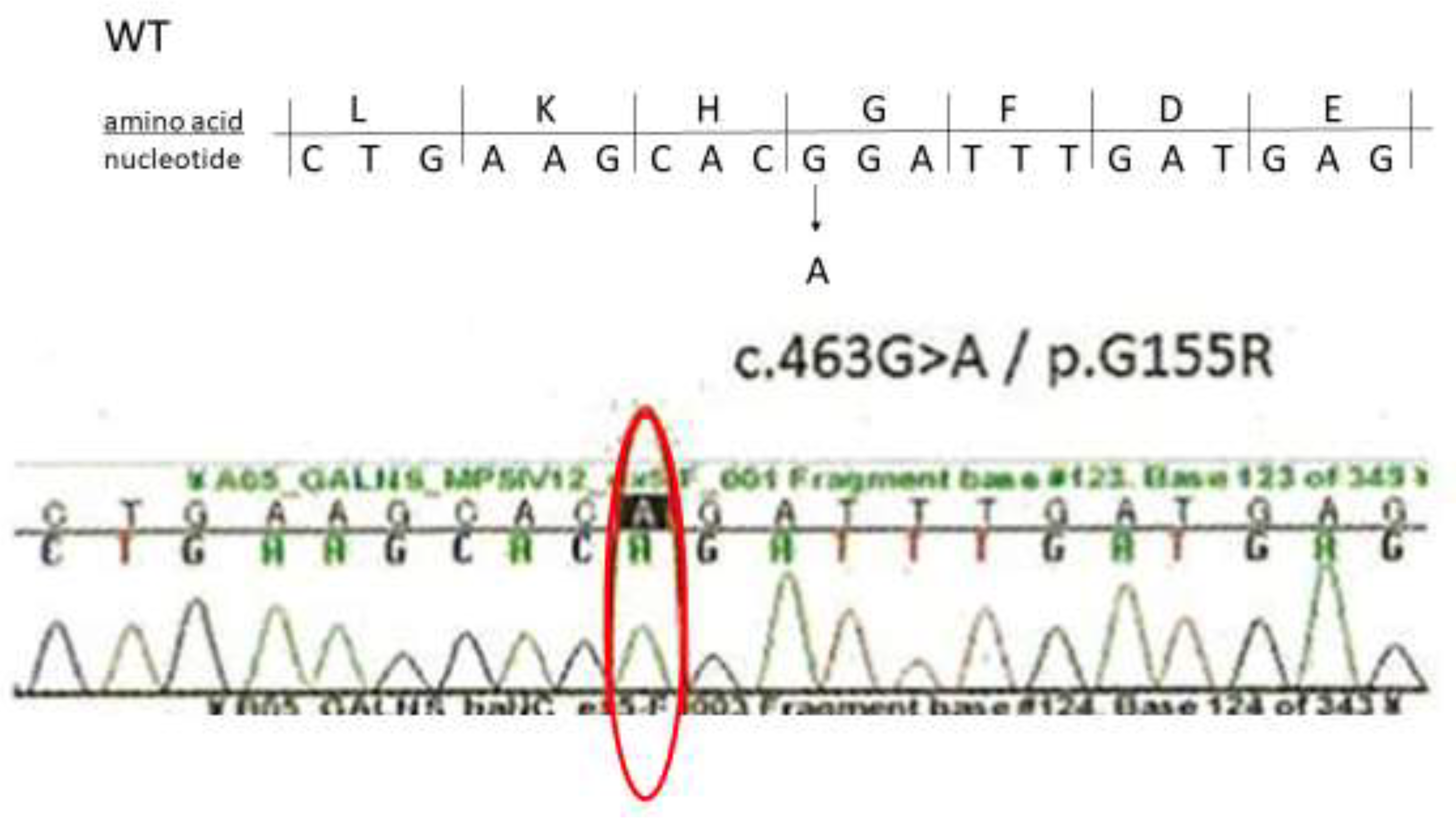 Ijms 21 00989 g003 Ijms 21 00989 g003