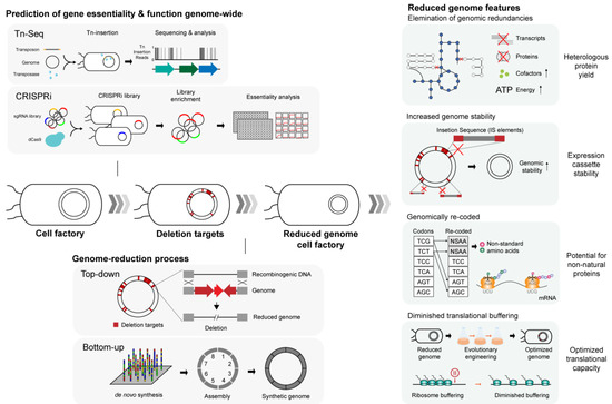 Ijms Special Issue Heterologous Expression Of Difficult To Produce Proteins In Bacterial Systems
