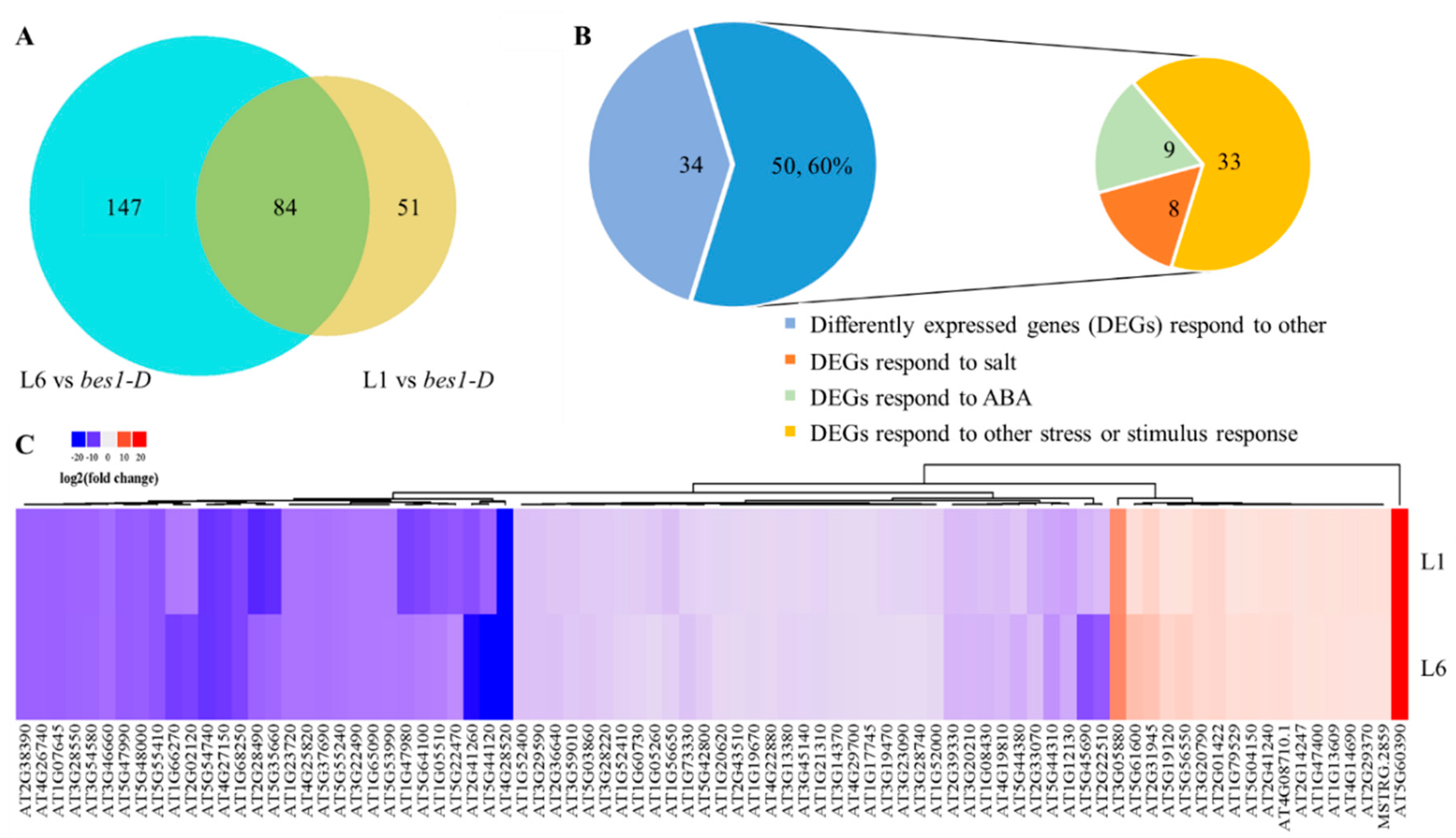 Ijms 21 00996 g006 Ijms 21 00996 g006