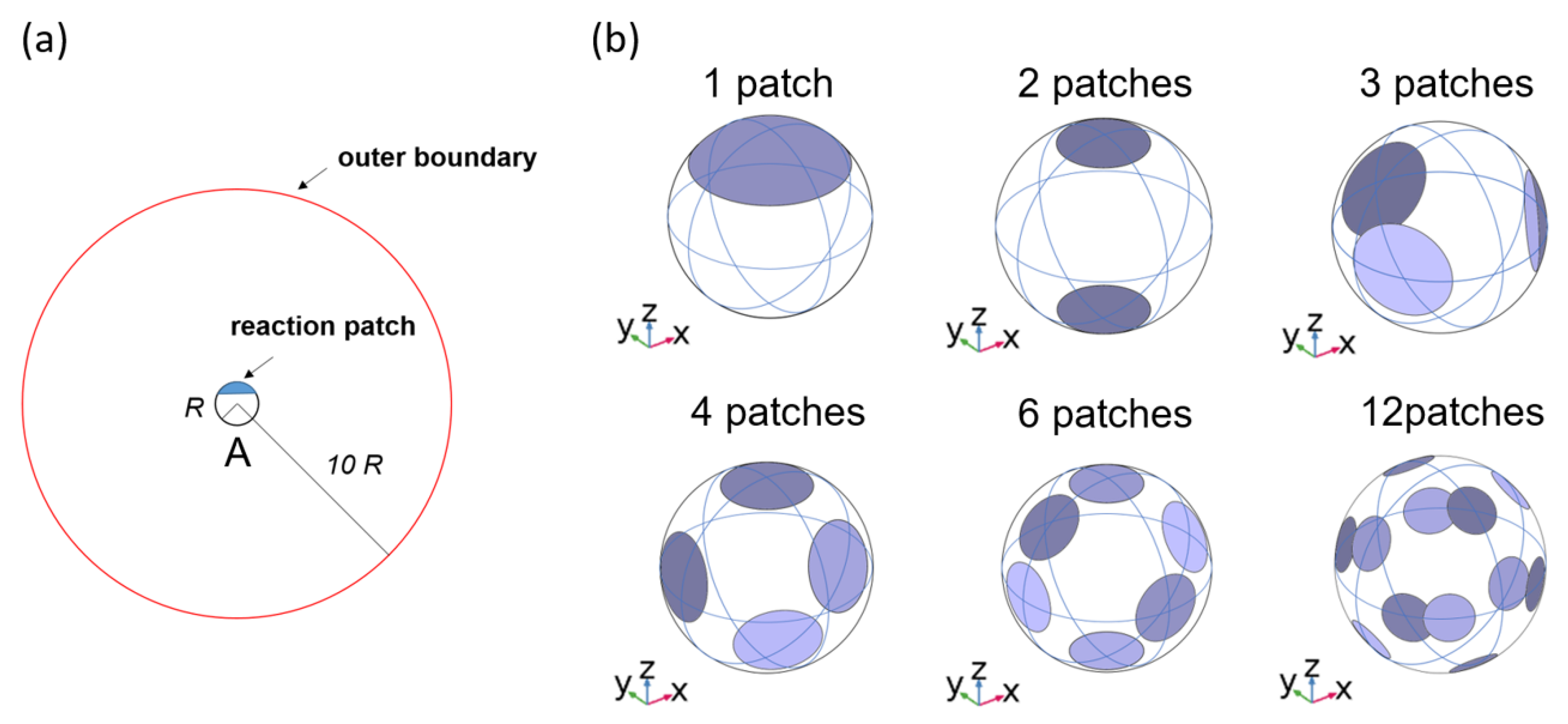 Ijms 21 00997 g001 Ijms 21 00997 g001