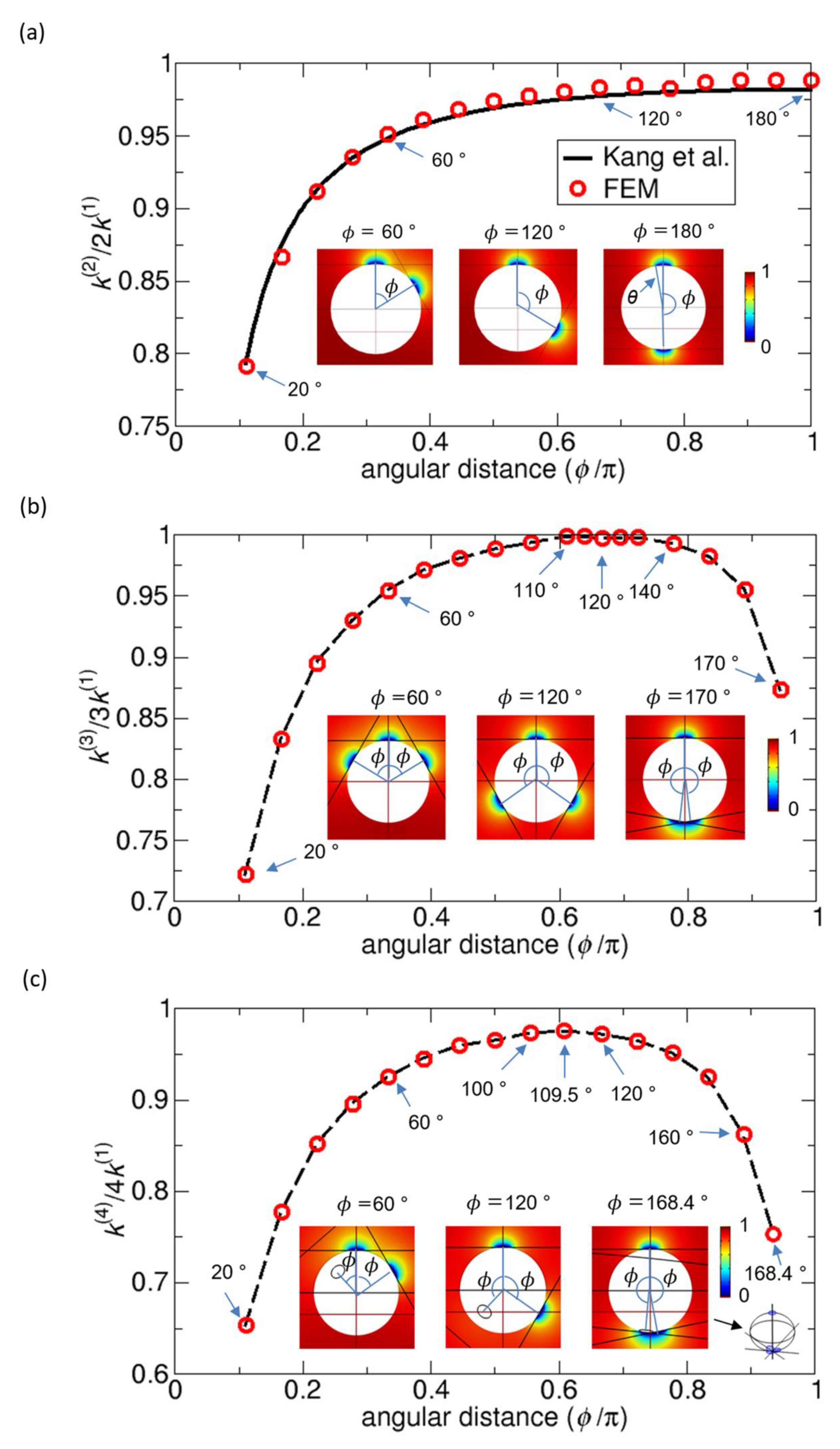 Ijms 21 00997 g003 Ijms 21 00997 g003
