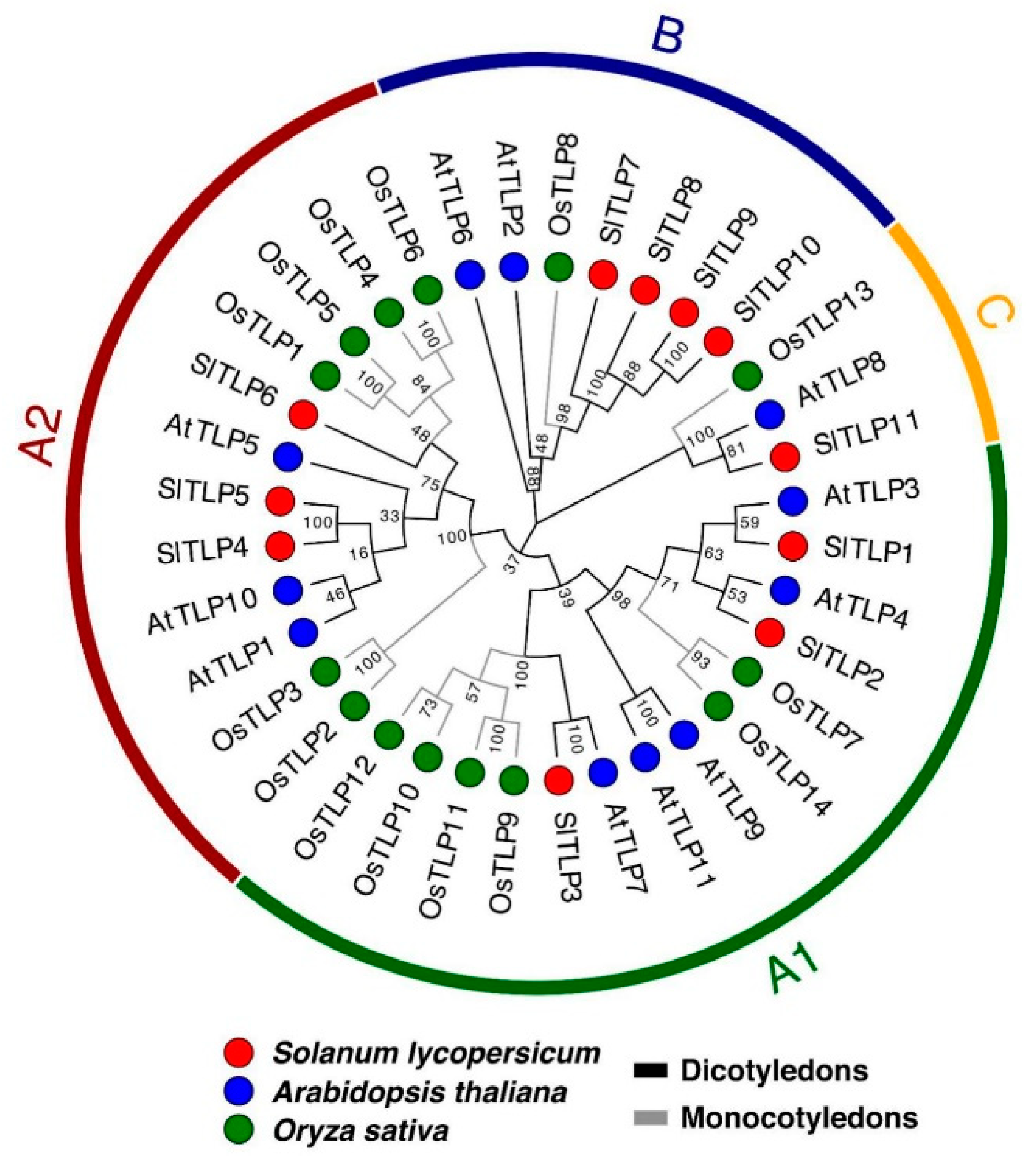 Ijms 21 01000 g001 Ijms 21 01000 g001