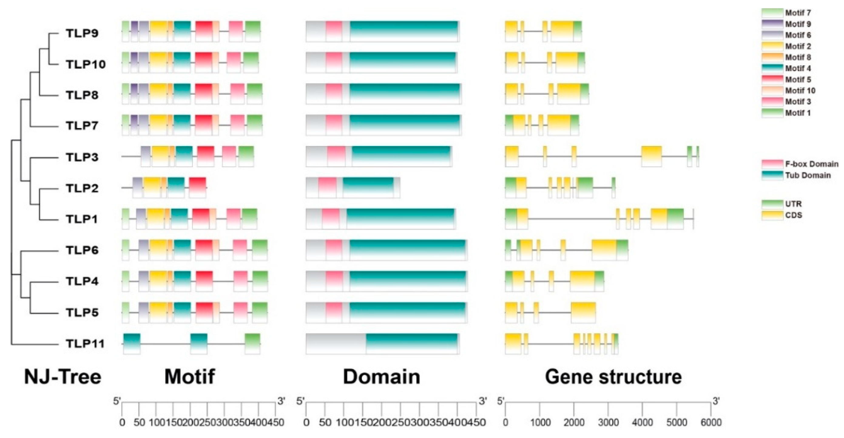 Ijms 21 01000 g002 Ijms 21 01000 g002