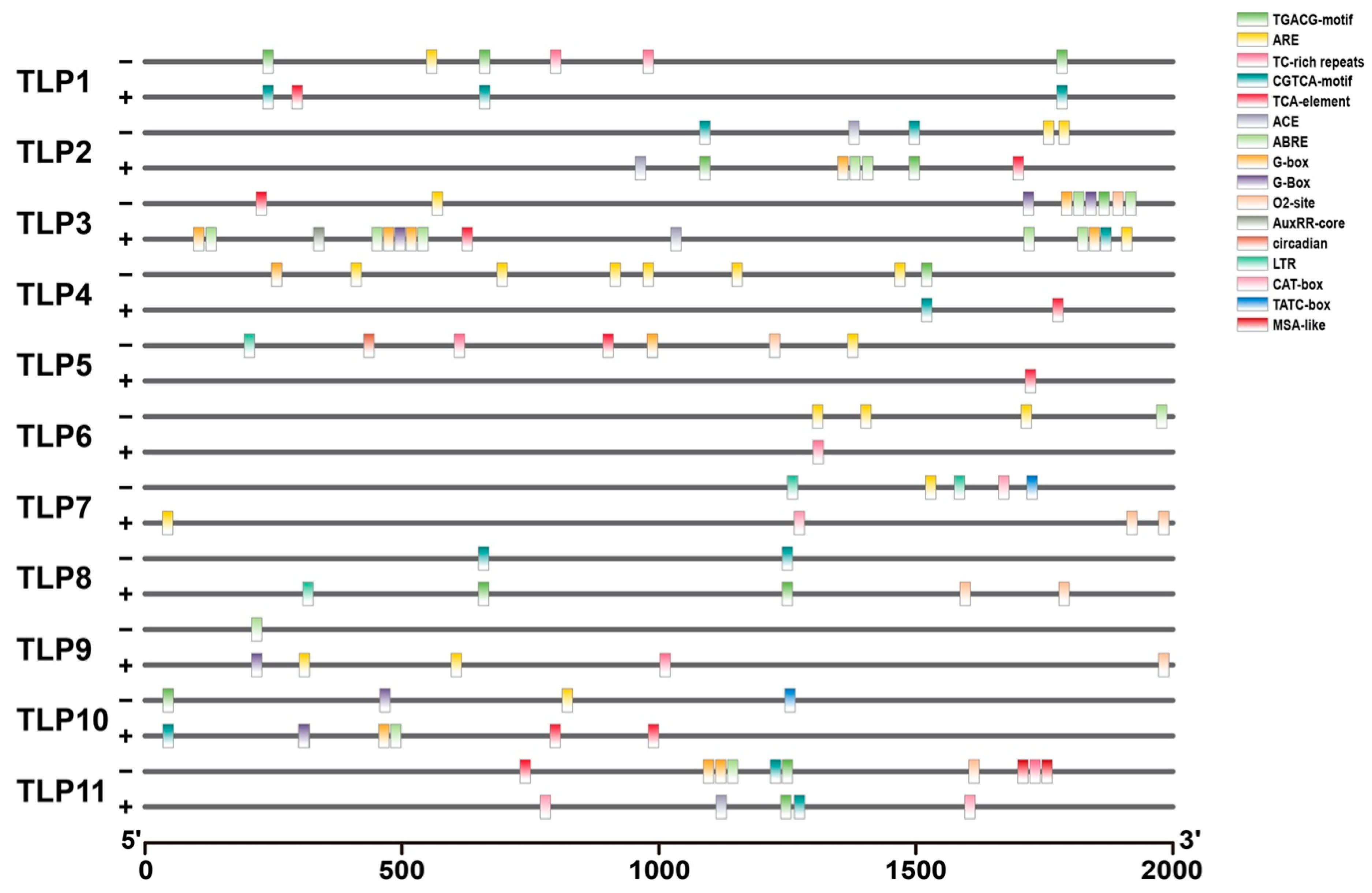 Ijms 21 01000 g004 Ijms 21 01000 g004