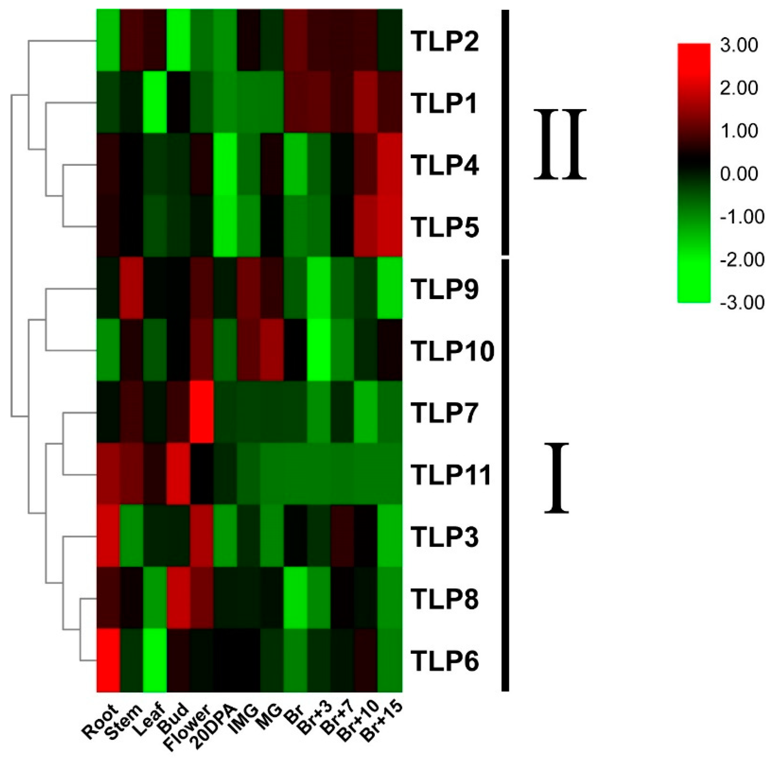 Ijms 21 01000 g005 Ijms 21 01000 g005