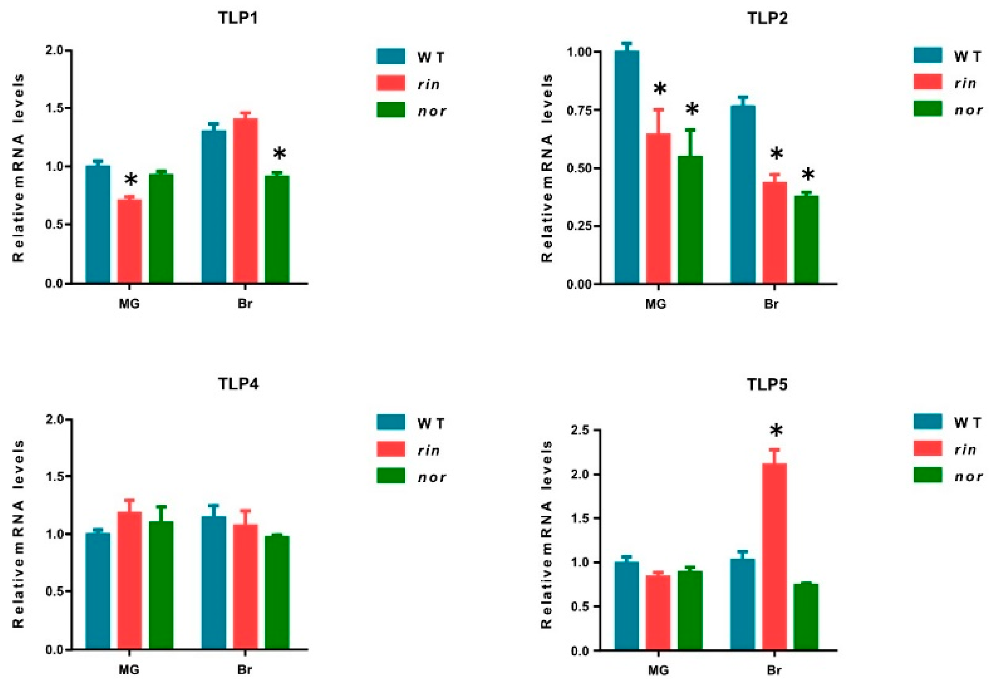 Ijms 21 01000 g006 Ijms 21 01000 g006