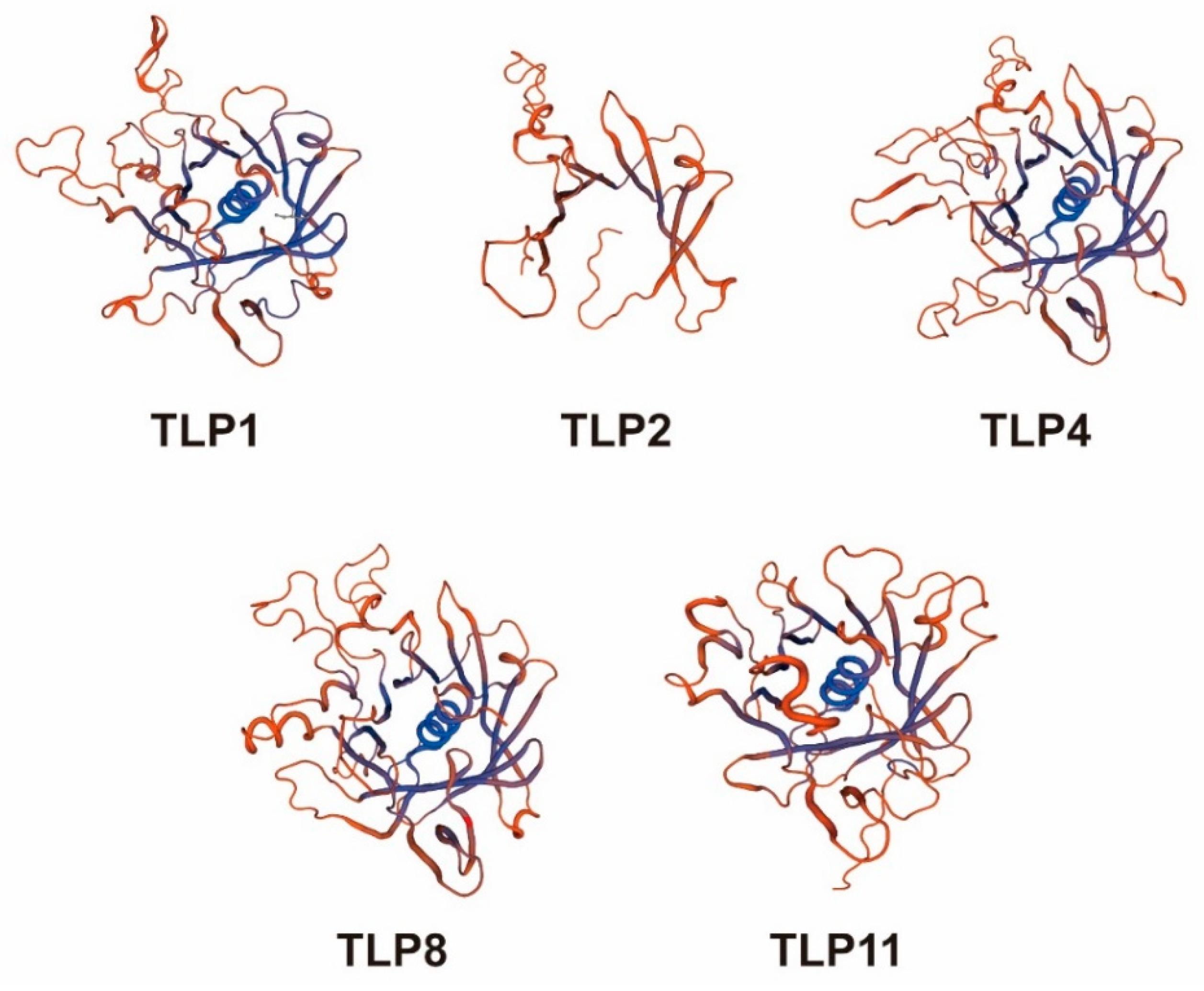 Ijms 21 01000 g008 Ijms 21 01000 g008