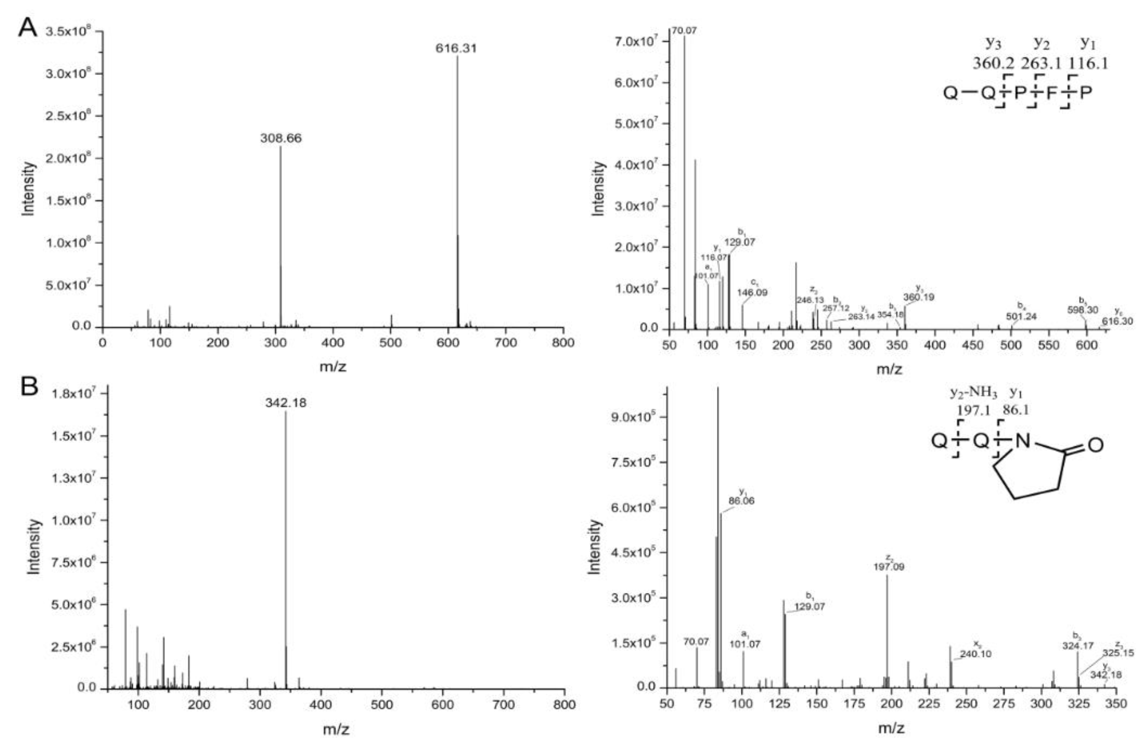 Ijms 21 01012 g004a Ijms 21 01012 g004a