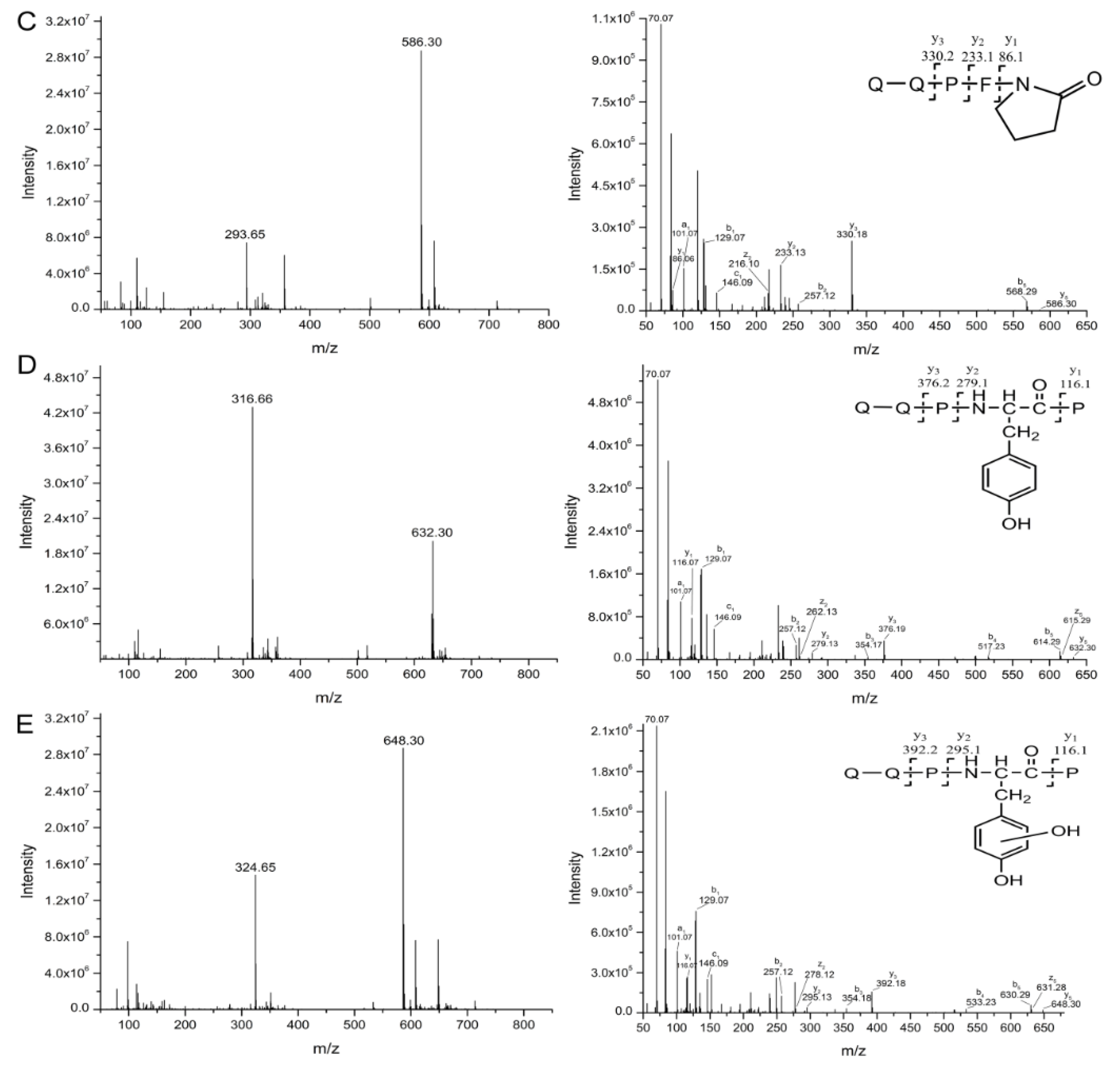 Ijms 21 01012 g004b Ijms 21 01012 g004b