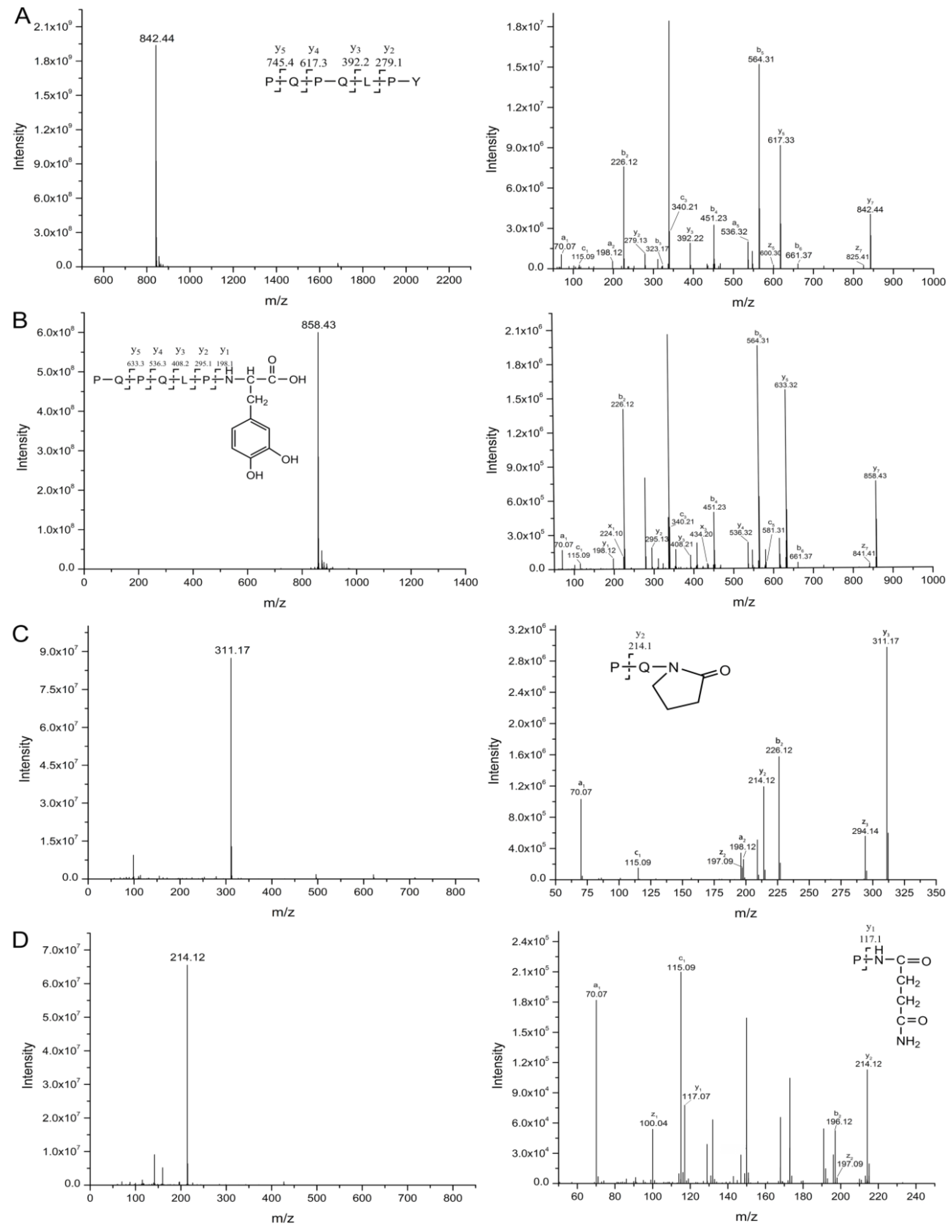Ijms 21 01012 g005 Ijms 21 01012 g005