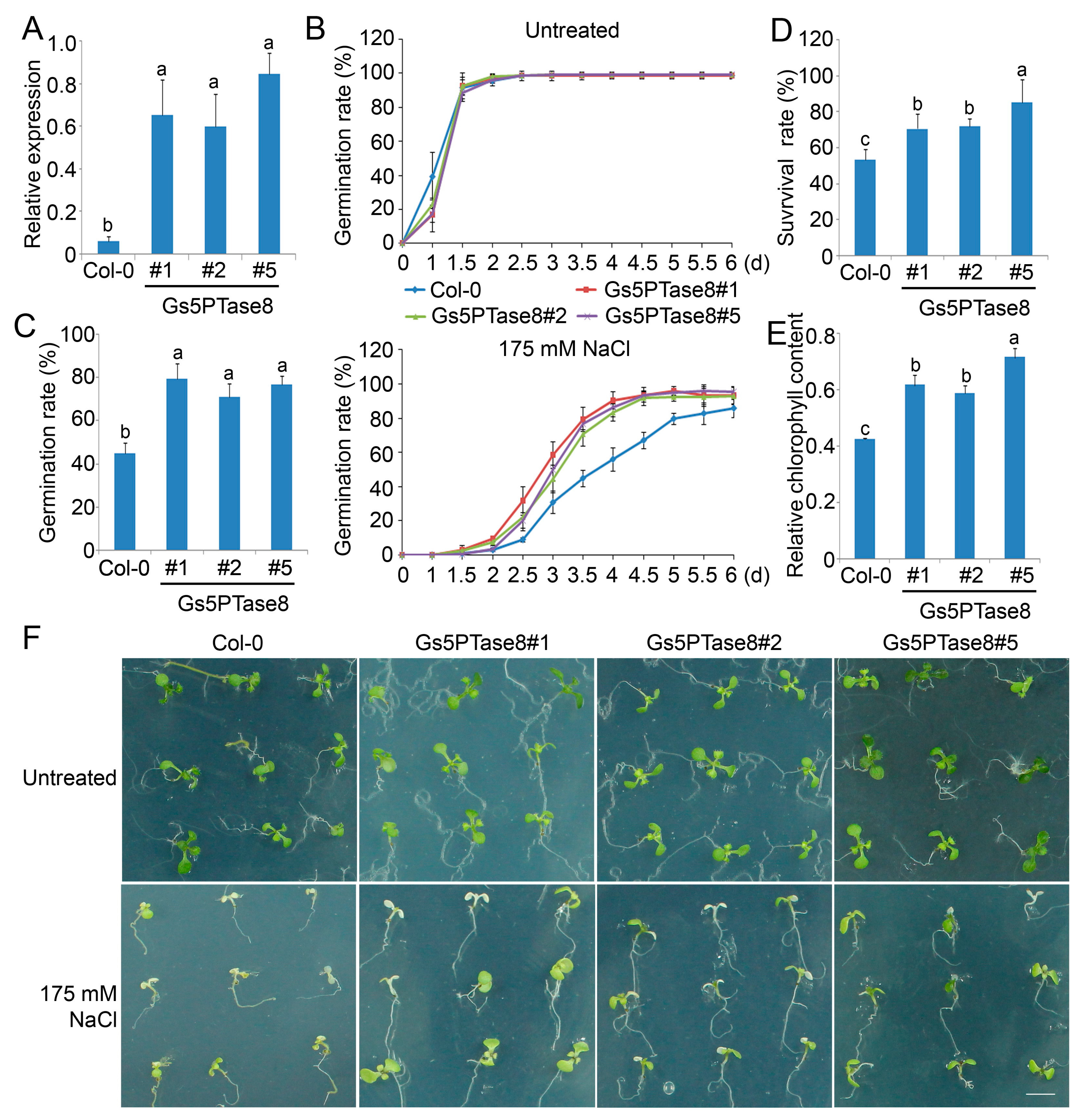 Ijms 21 01023 g004 Ijms 21 01023 g004