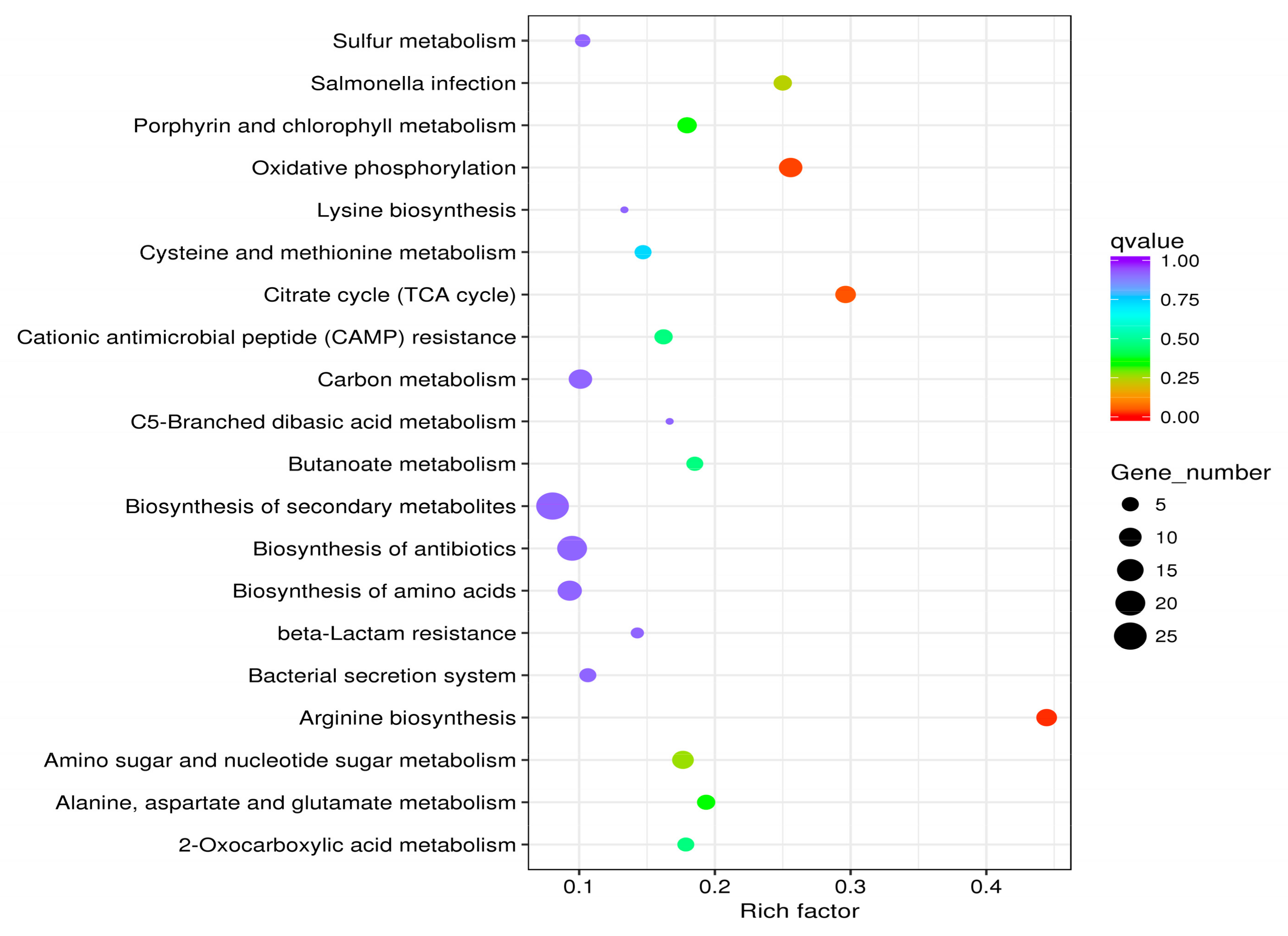 Ijms 21 01025 g003 Ijms 21 01025 g003