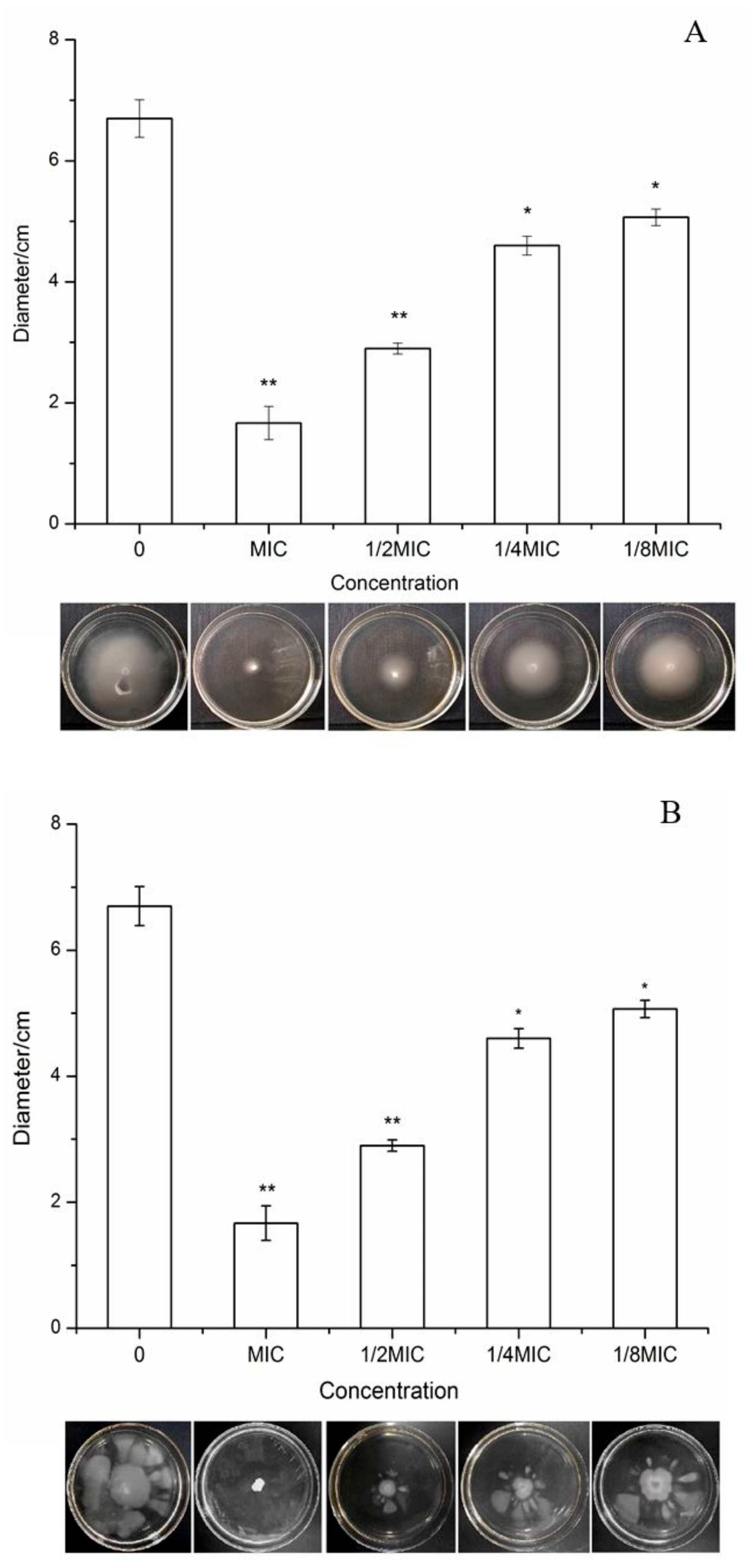 Ijms 21 01025 g005 Ijms 21 01025 g005