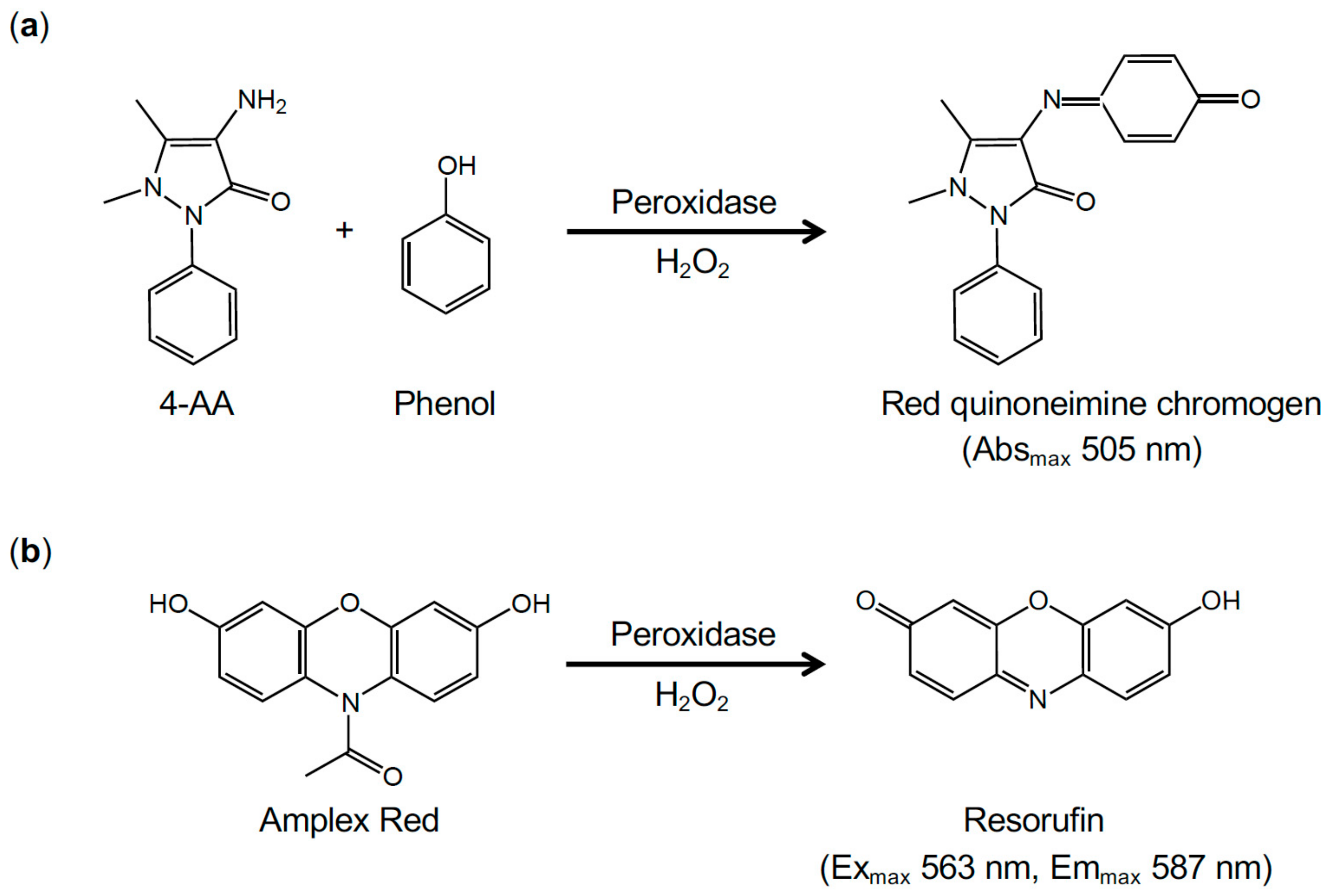 IJMS | Free Full-Text Protocols Enzymatic to Quantify Phospholipid Classes