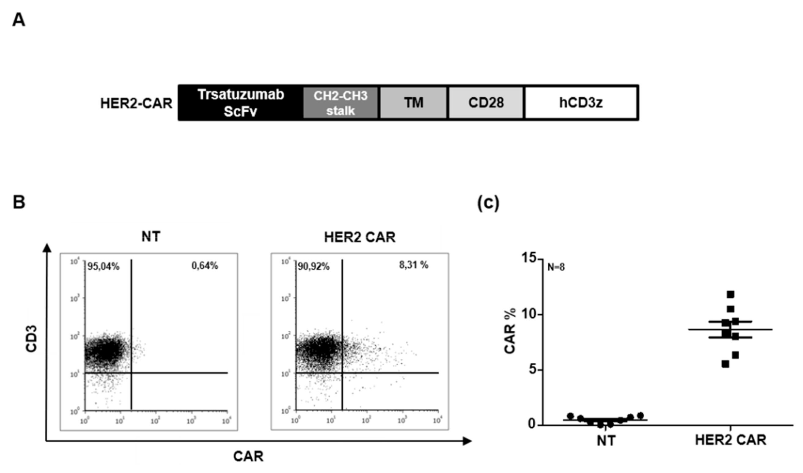 Ijms 21 01039 g002 Ijms 21 01039 g002