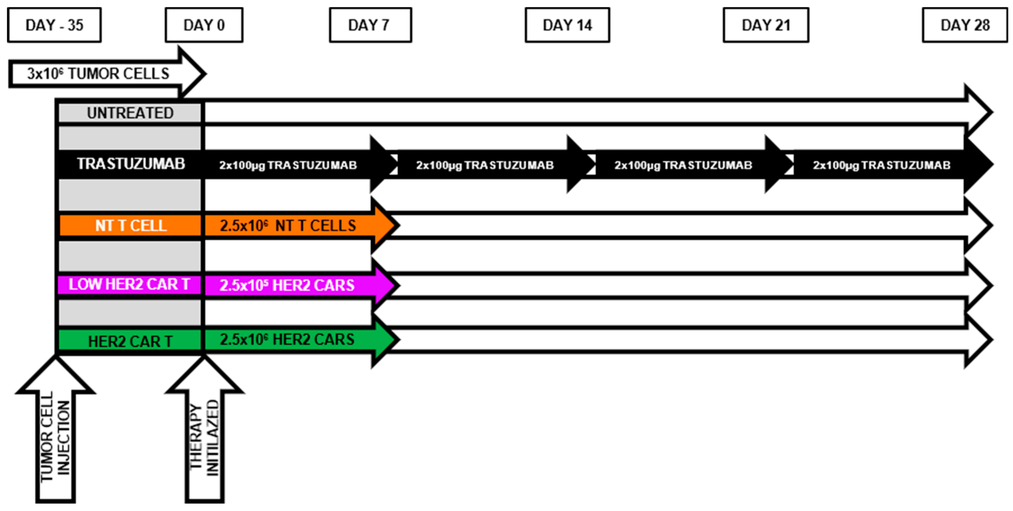 Ijms 21 01039 g004 Ijms 21 01039 g004