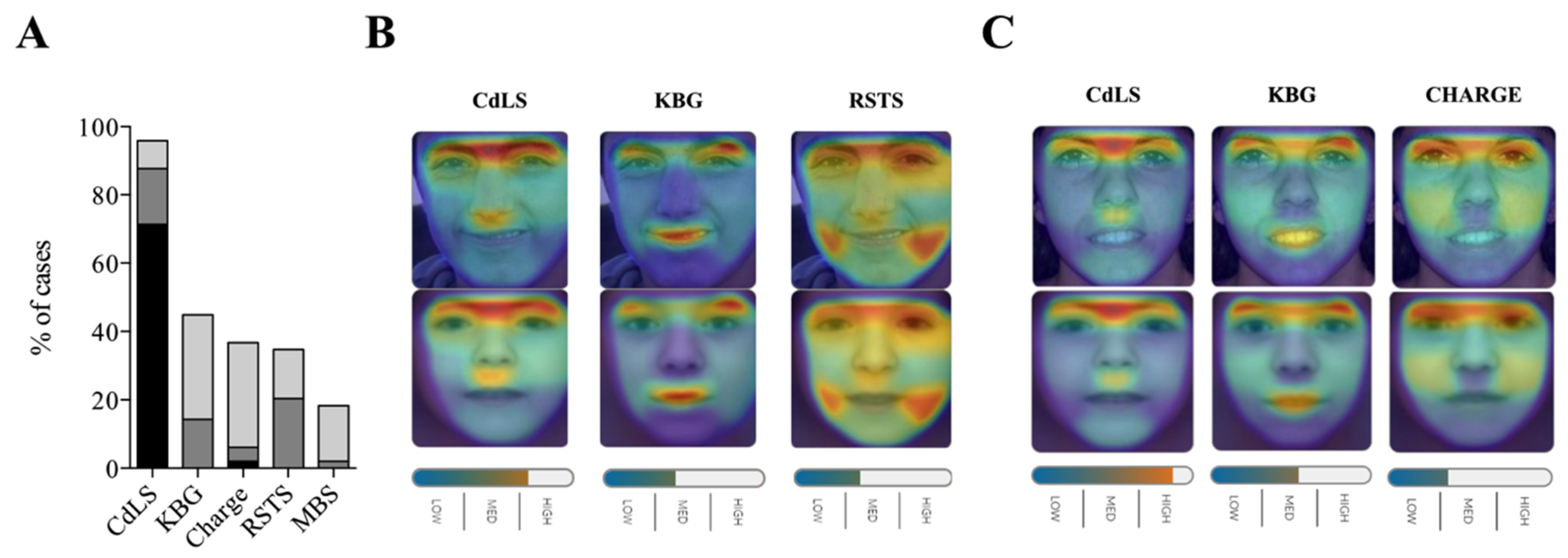 Ijms 21 01042 g001 Ijms 21 01042 g001