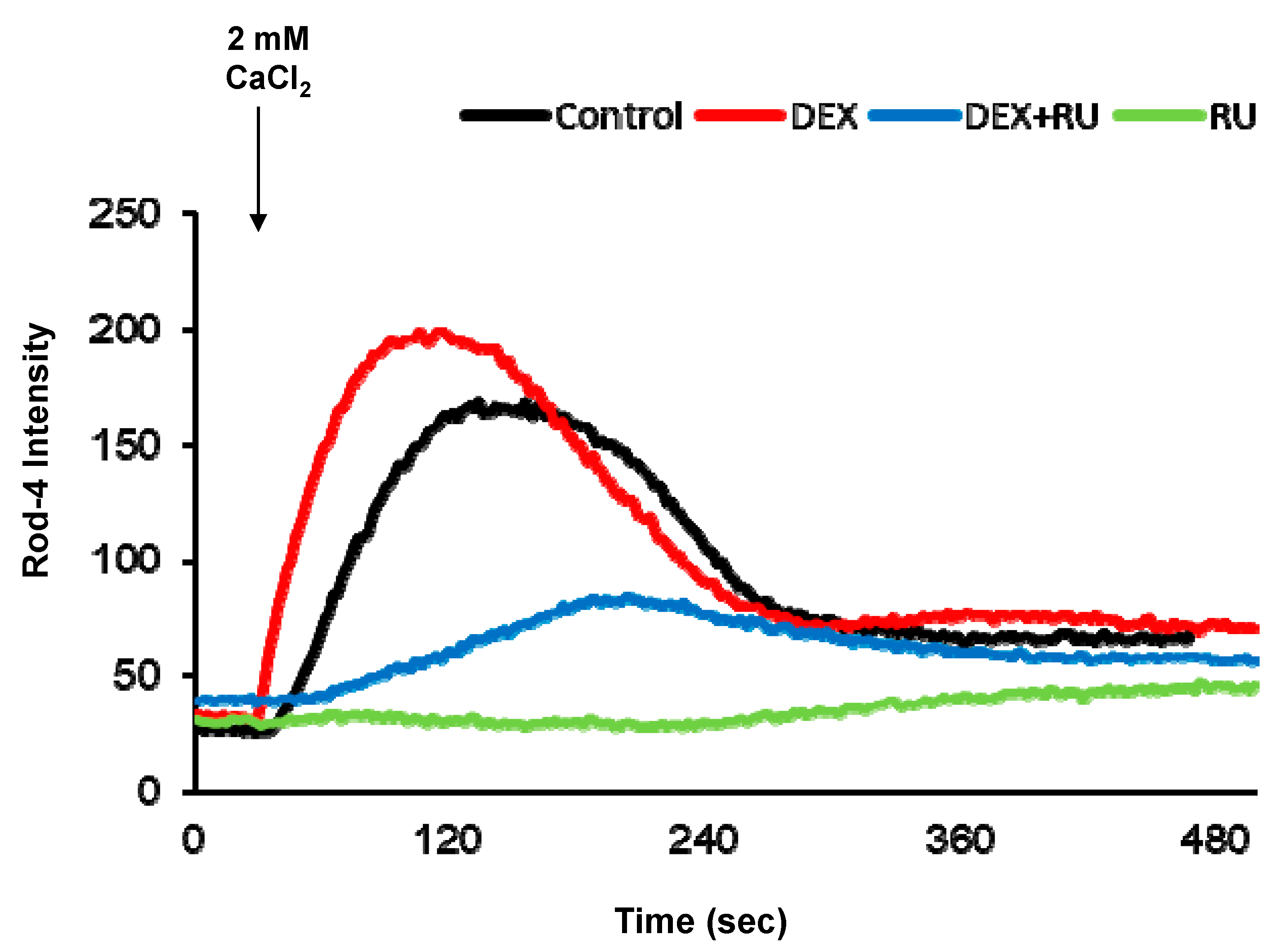 Ijms 21 01050 g002 Ijms 21 01050 g002